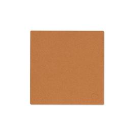 LIND DNA Core Square Placemat - Set of 4