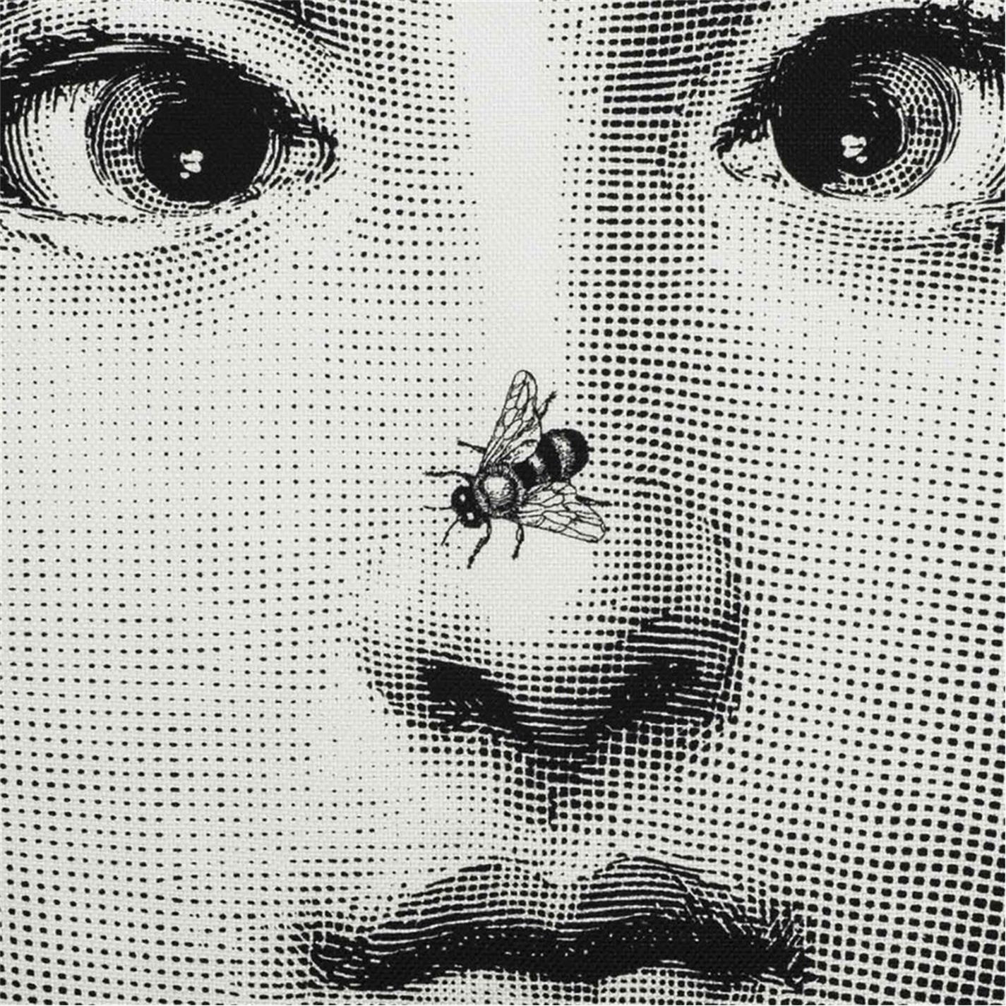 Ape - Fornasetti - Tema e Variazioni Reversible Cushion - 40x40cm - 4