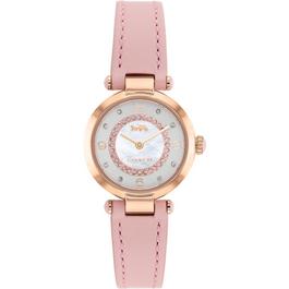 Coach Cary Plated Stainless Steel Fashion Analogue Quartz Watch