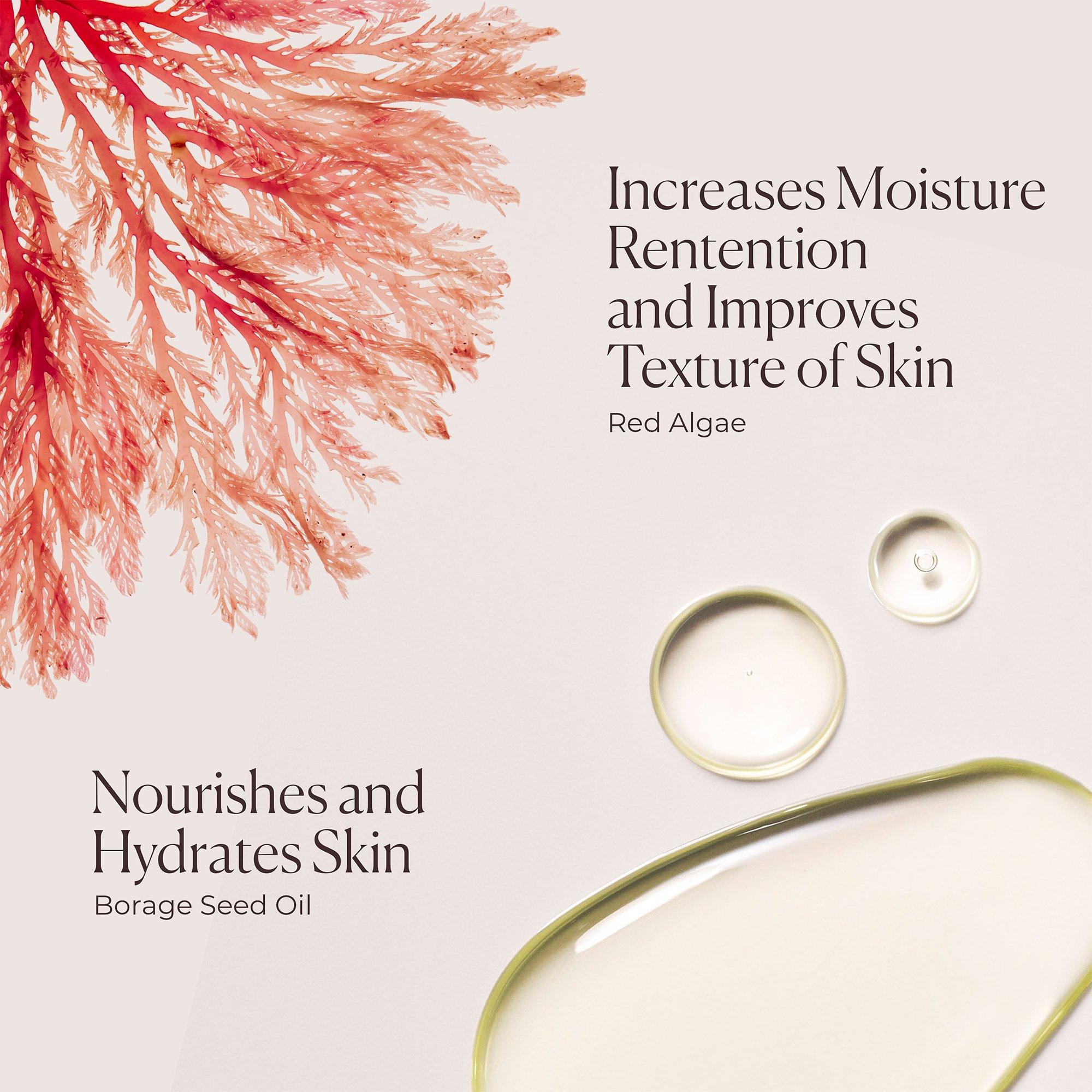 Clear - Laura Mercier - Honey Bath - Almond Coconut - 5