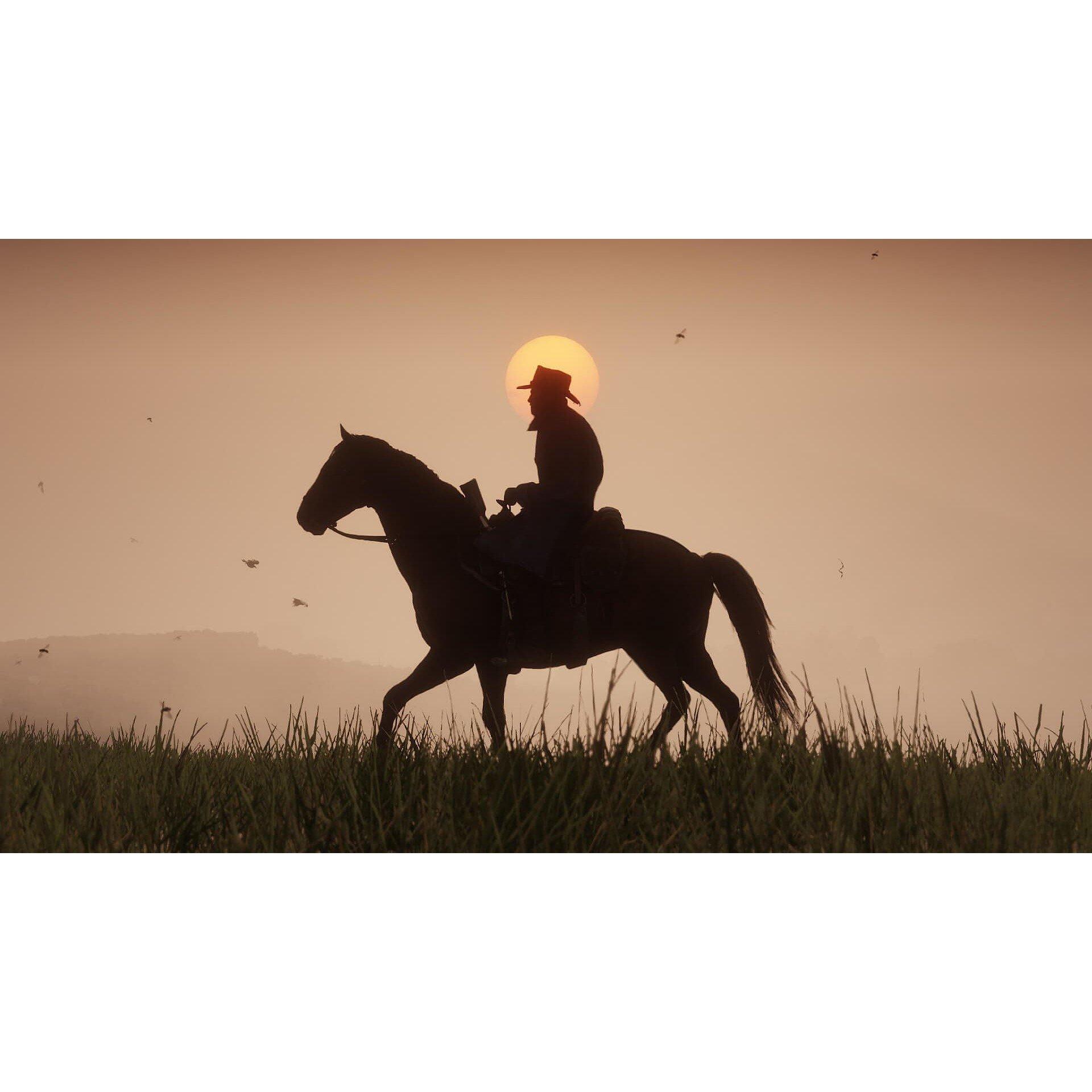 XBS - Rockstar Games - Red Dead Redemption 2 - 7