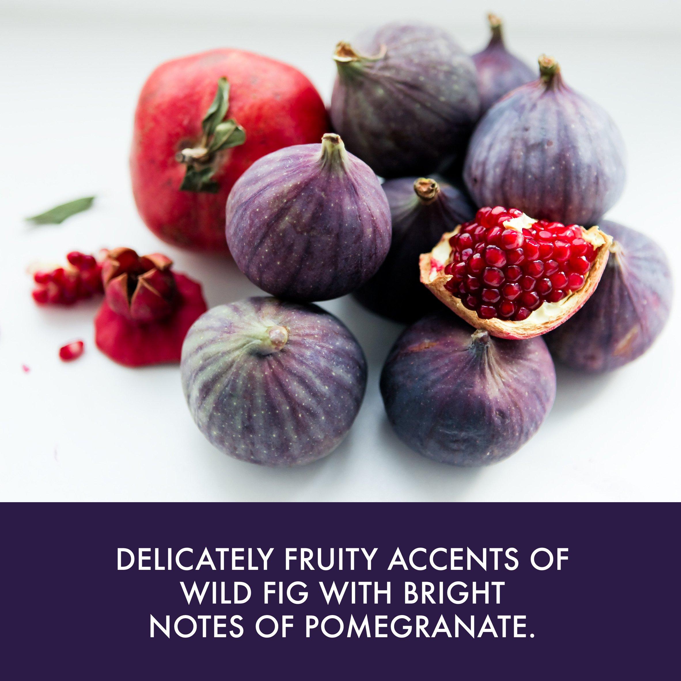 Groot - Baylis and Harding - and Harding Midnight Fig and Pomegranate Sleep Set - 6