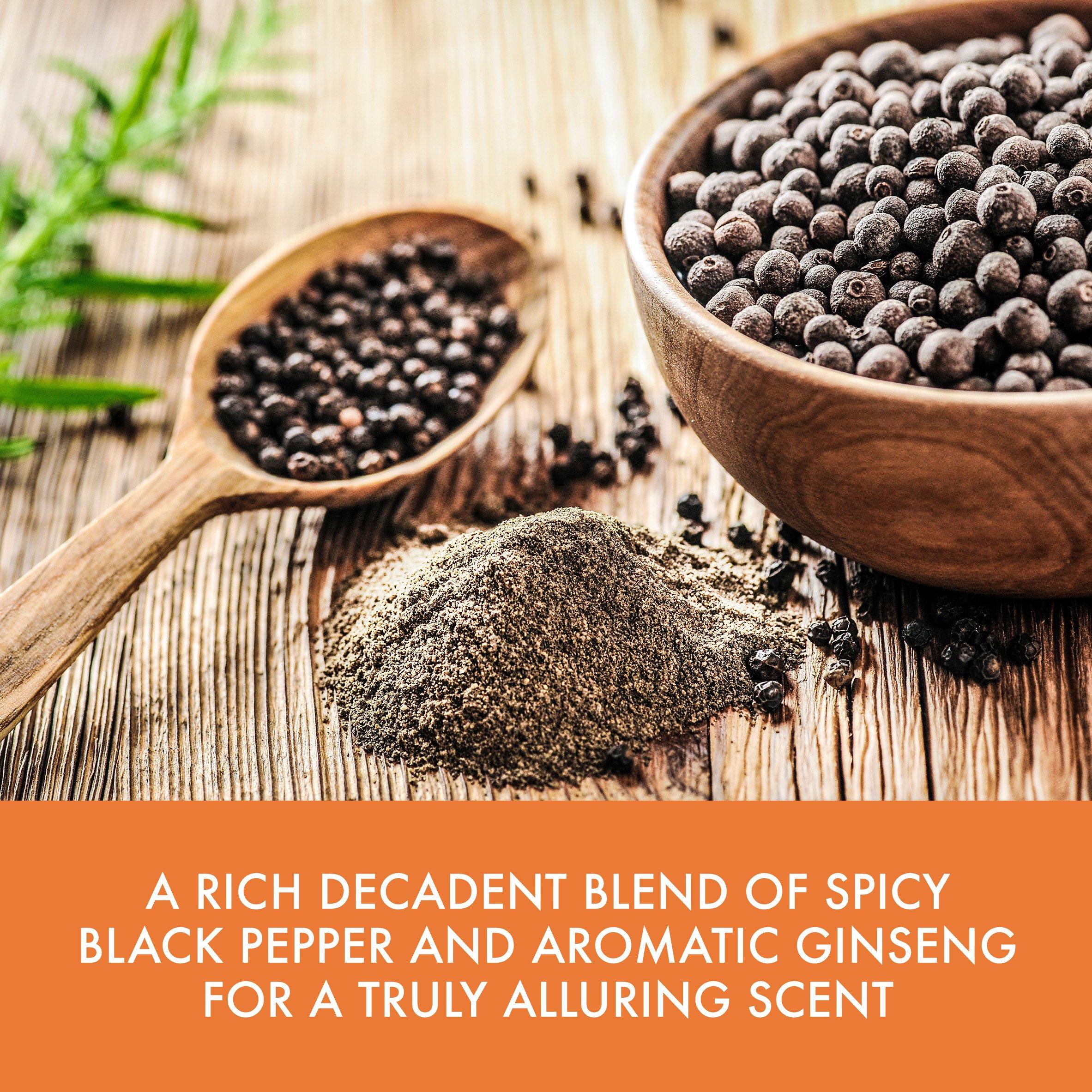 Large - Baylis and Harding - and Harding Black Pepper and Ginseng Travel Bag Set - 6