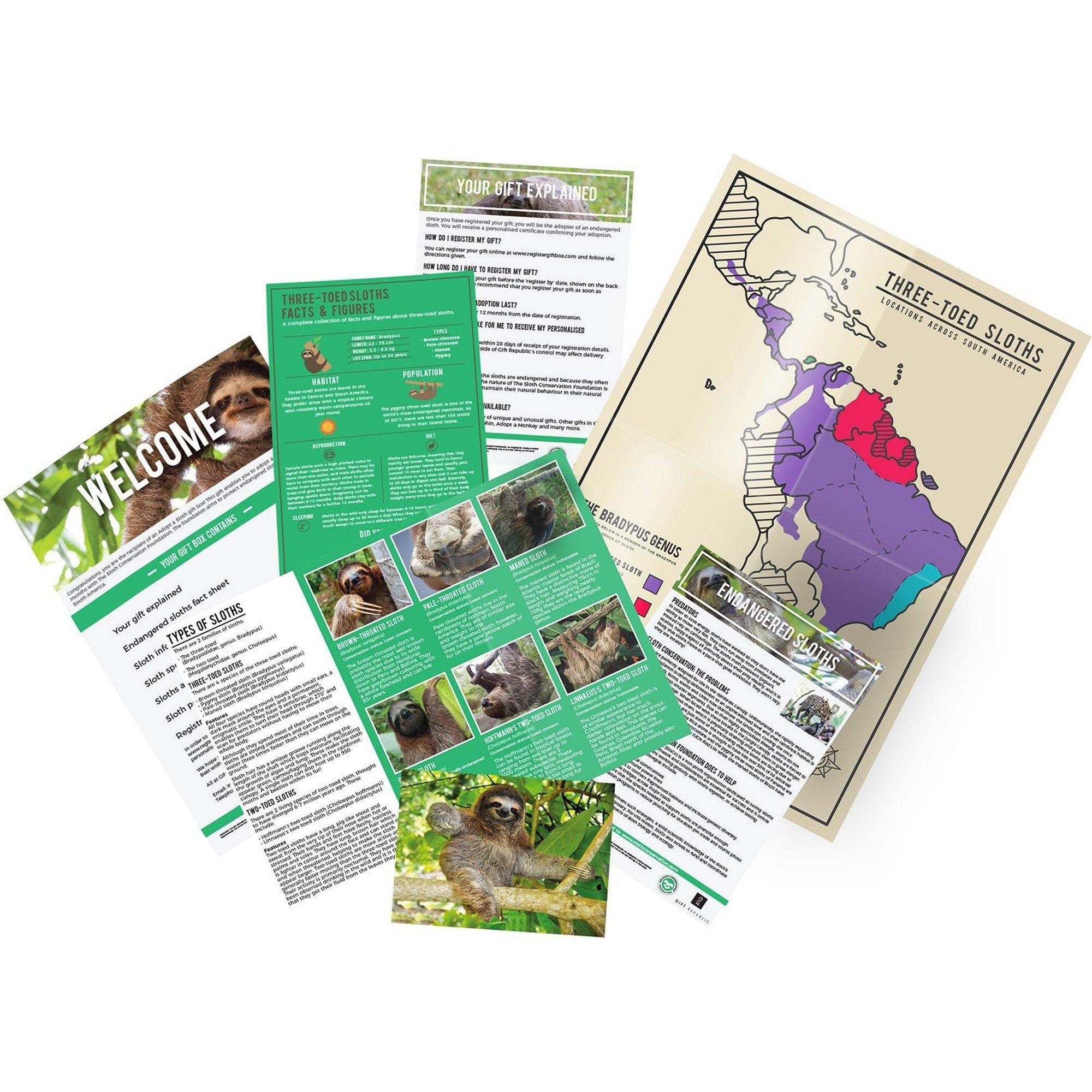 None - Gift Republic - Adopt a sloth - 2