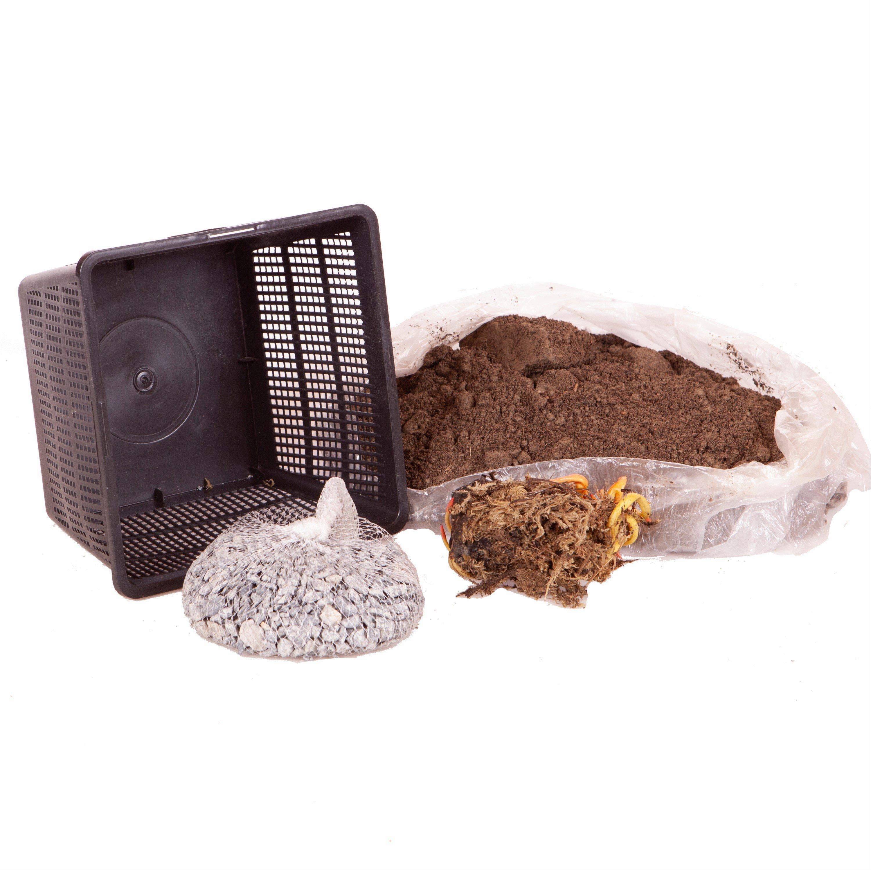 White - YouGarden - Water Lily Planting Kit - White - 4