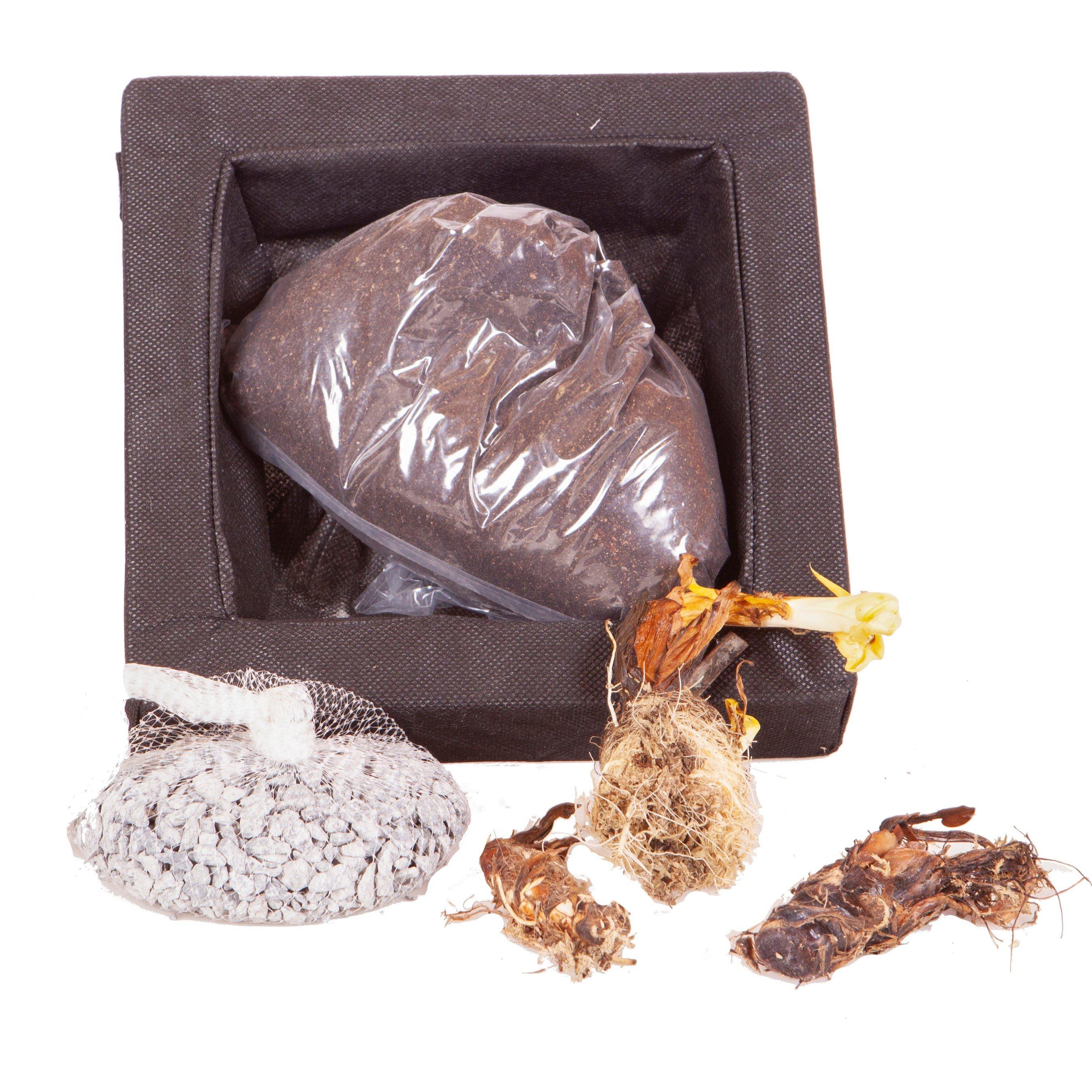 YouGarden Pond Plant Raft kit | FRASERS