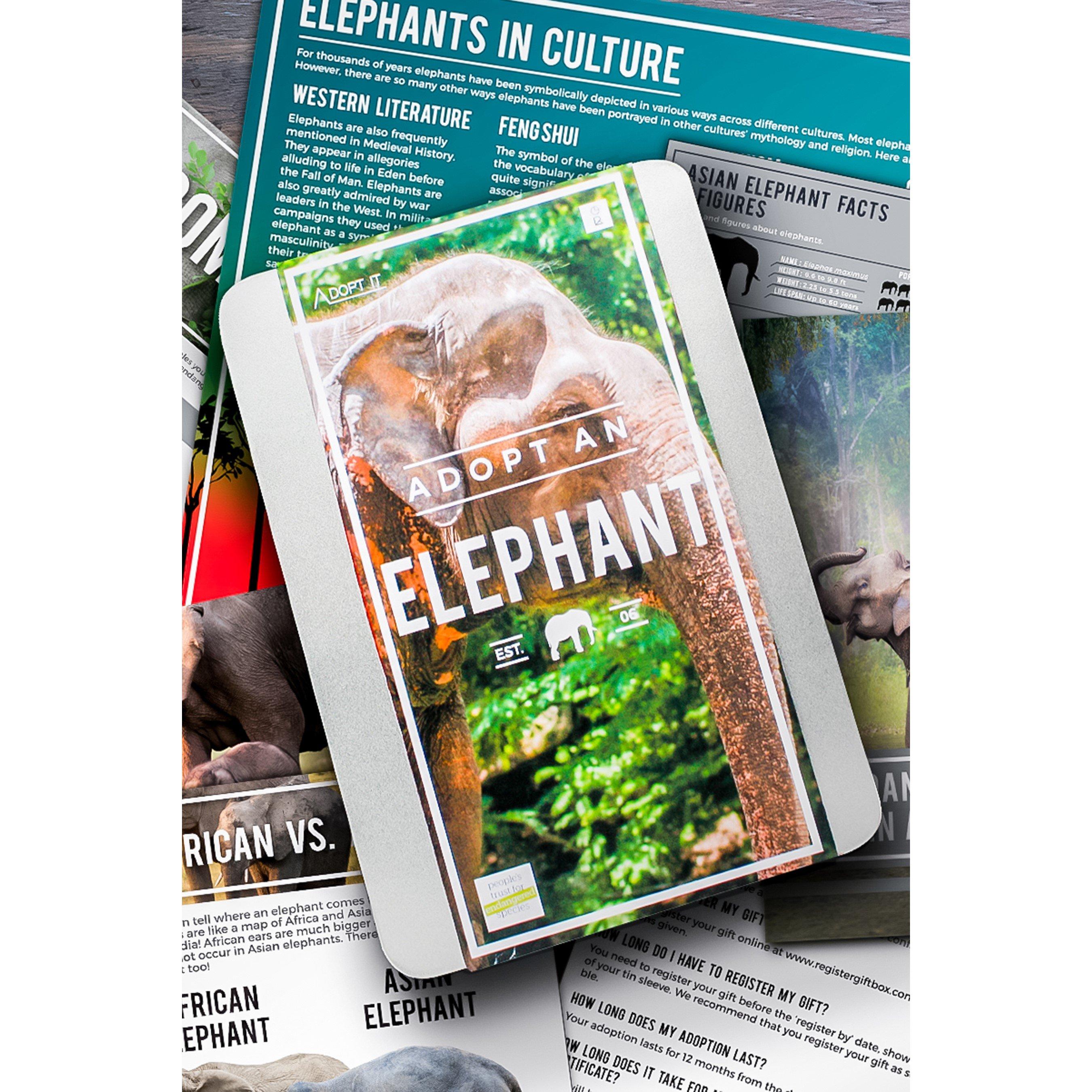 None - Activity Superstore - Animal Adoption - 2