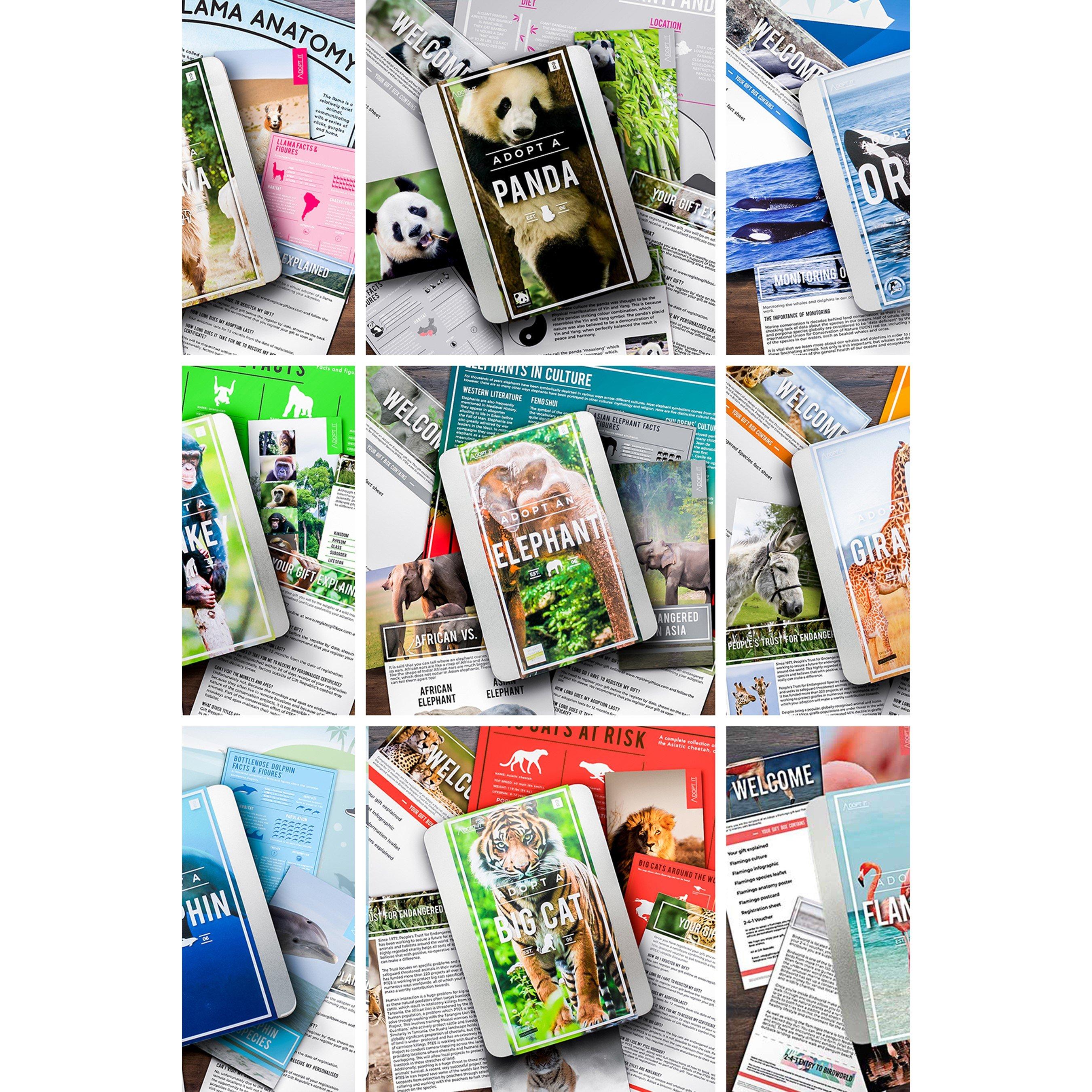 None - Activity Superstore - Animal Adoption - 3