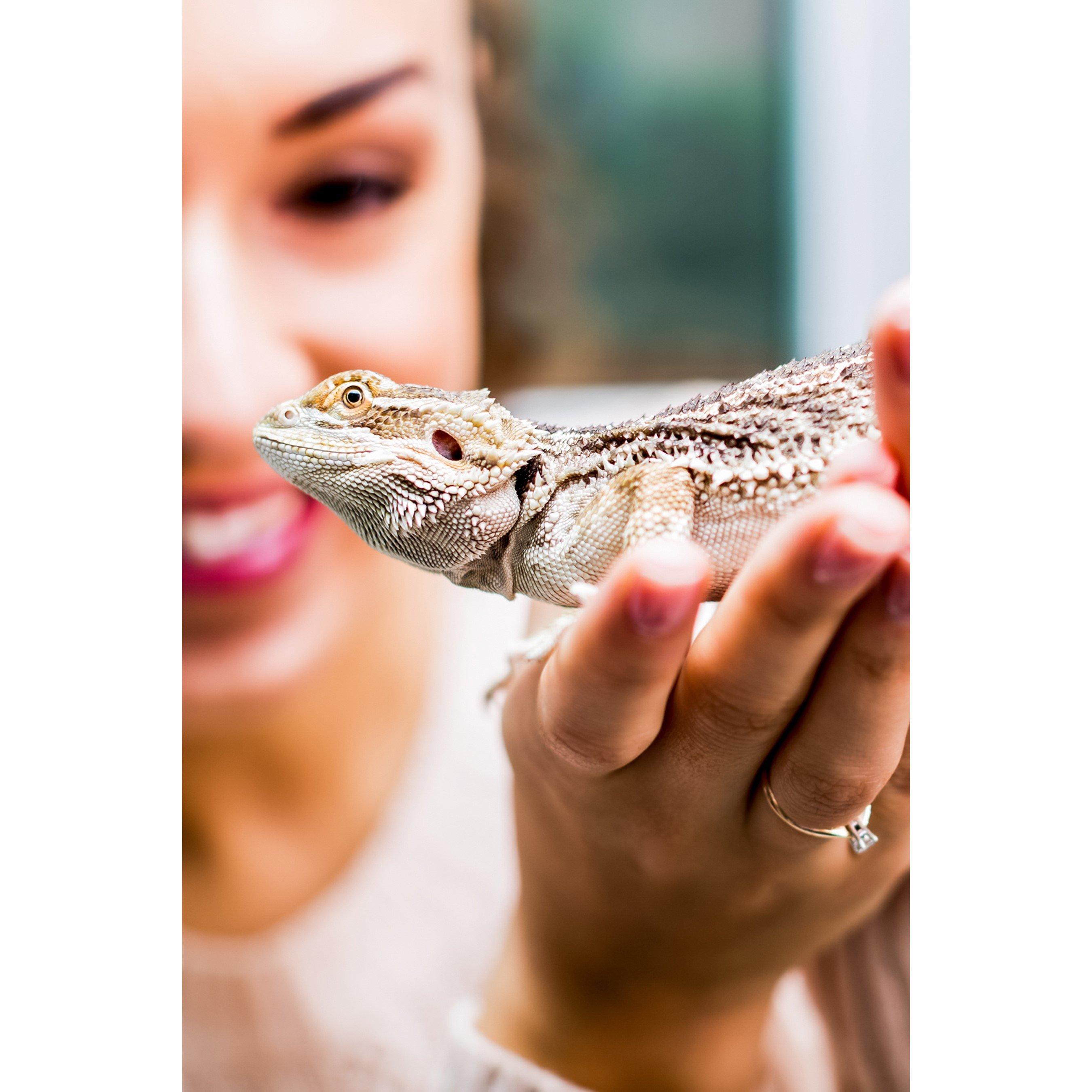 None - Activity Superstore - Animal Encounters - 2