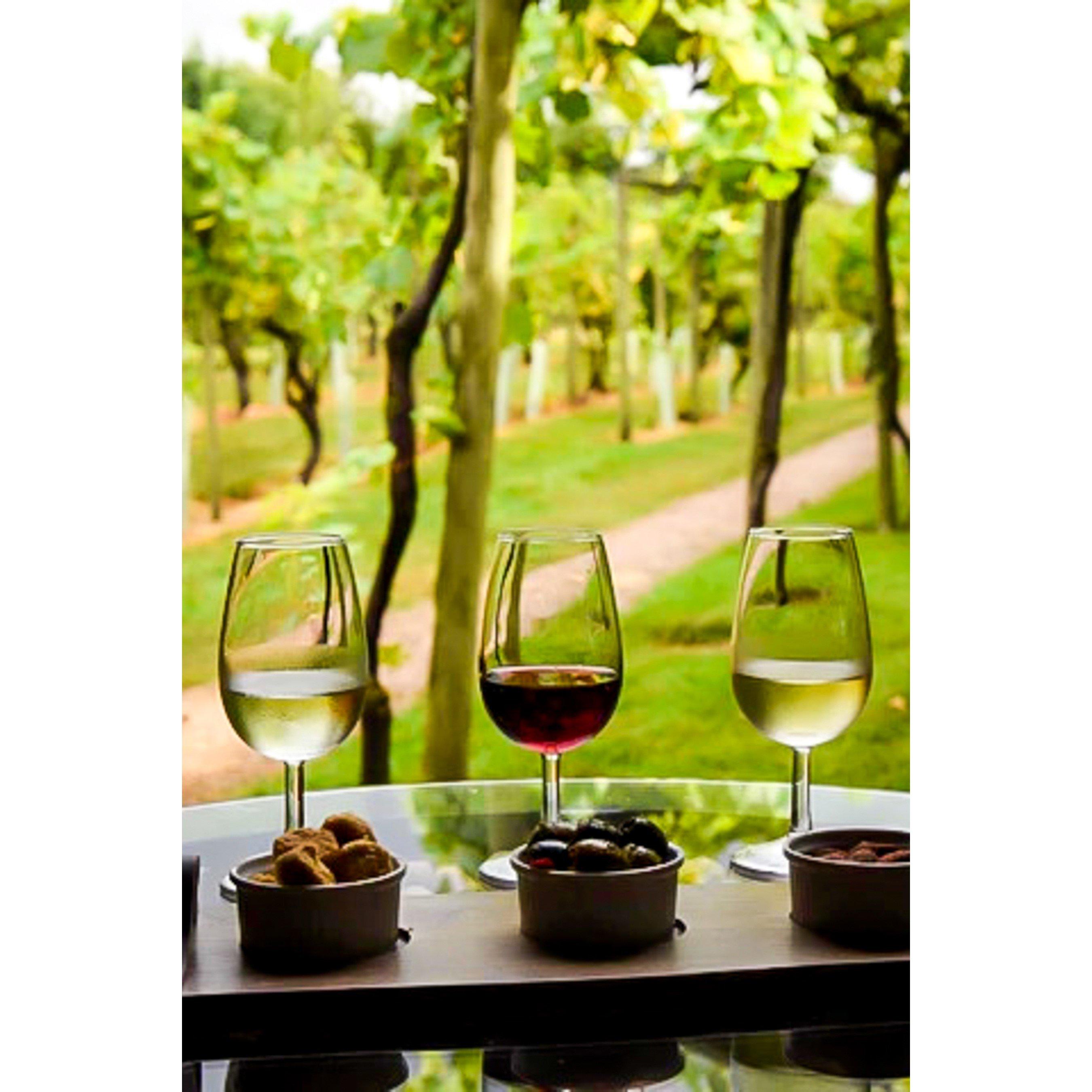 Activity Superstore  Vineyard & Distillery Tours & Tastings