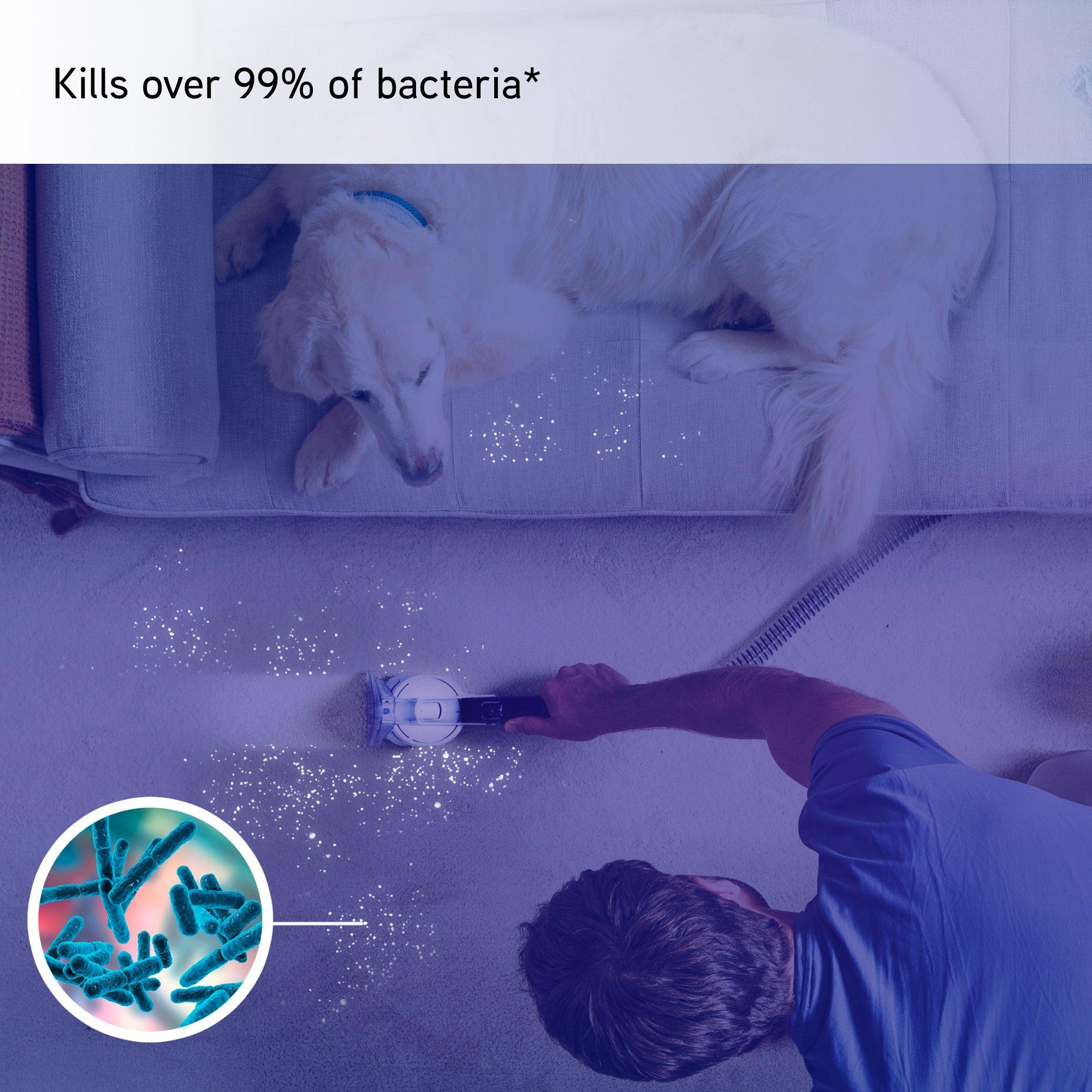 Black - Vax - Spotwash Home Pet Design Spot Cleaner - 6