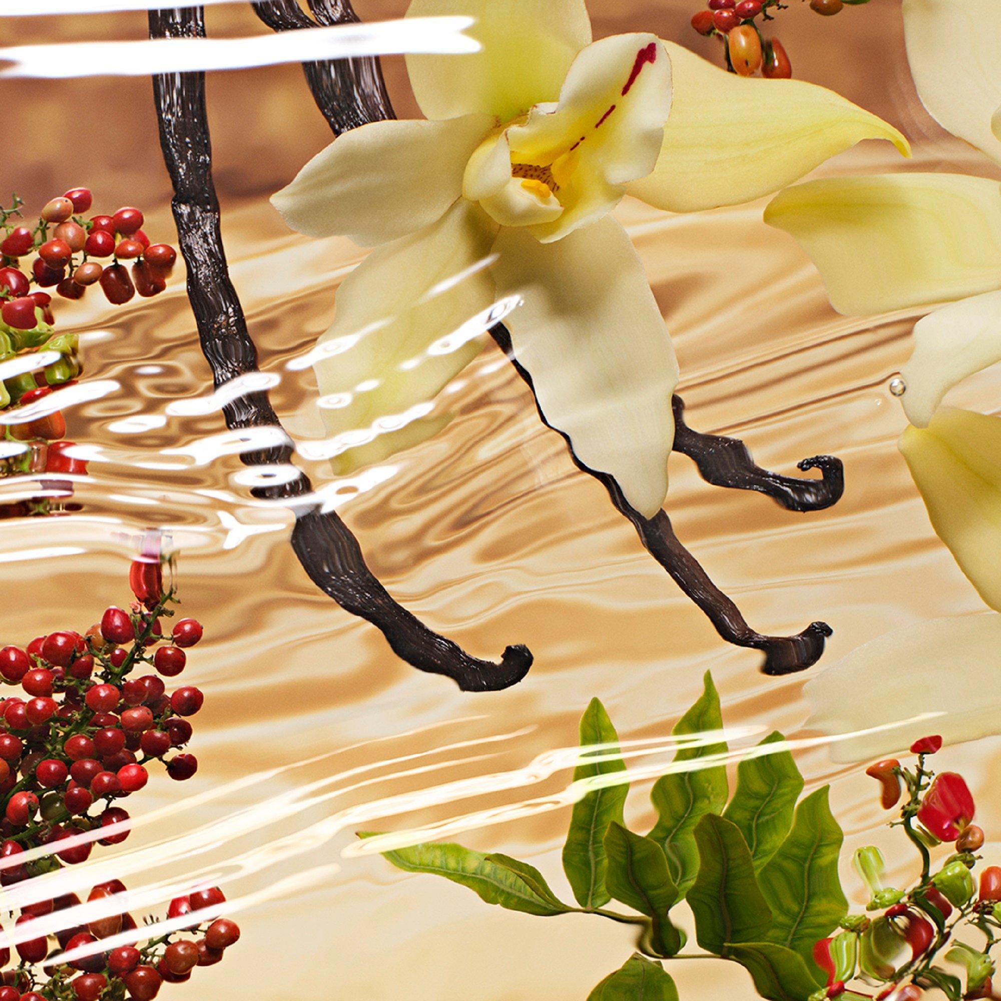 Clear - Estee Lauder - Infinite Sky Eau de Parfum Refill 100ml - 3