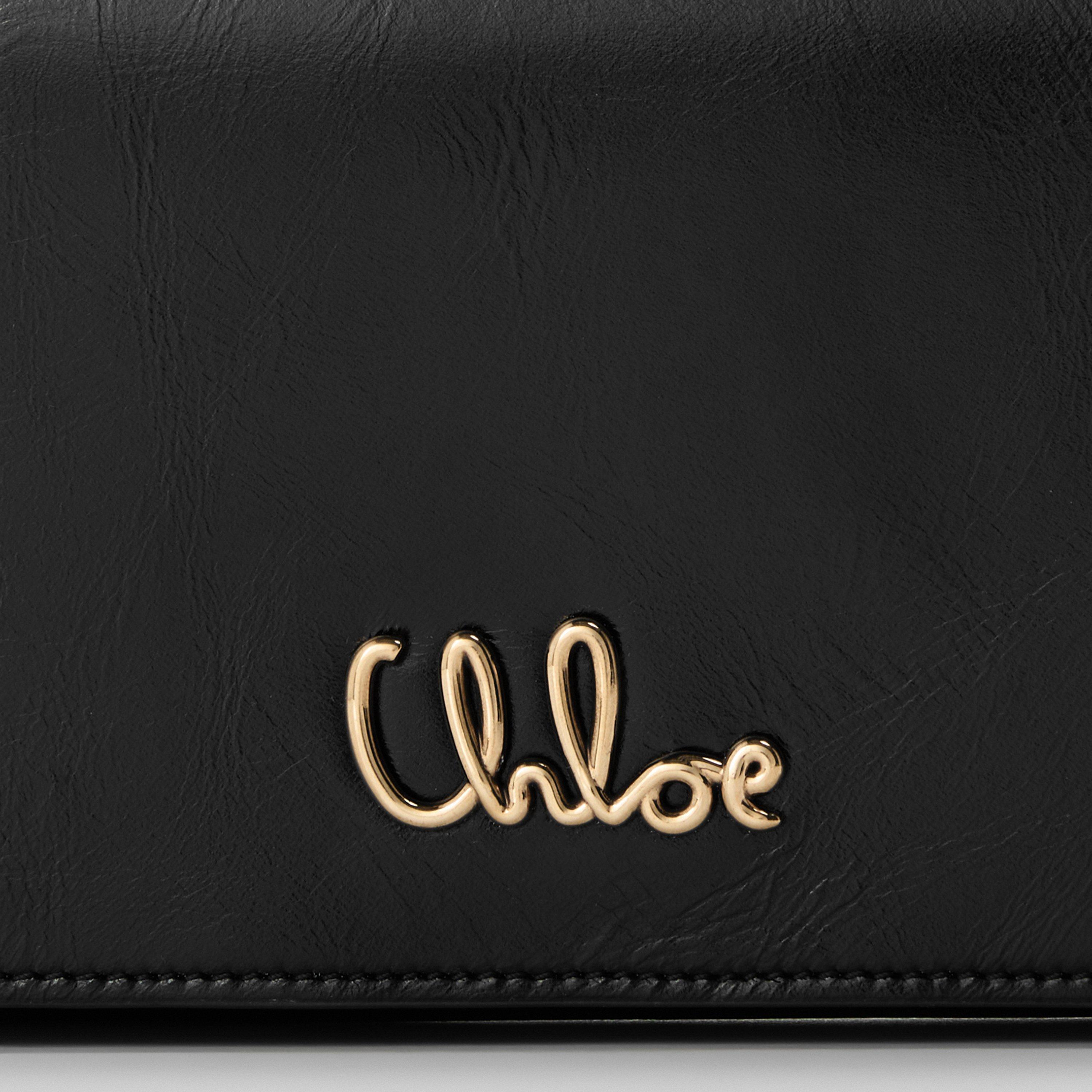 Chloe Iconic Flap With Chain | Cruise Fashion