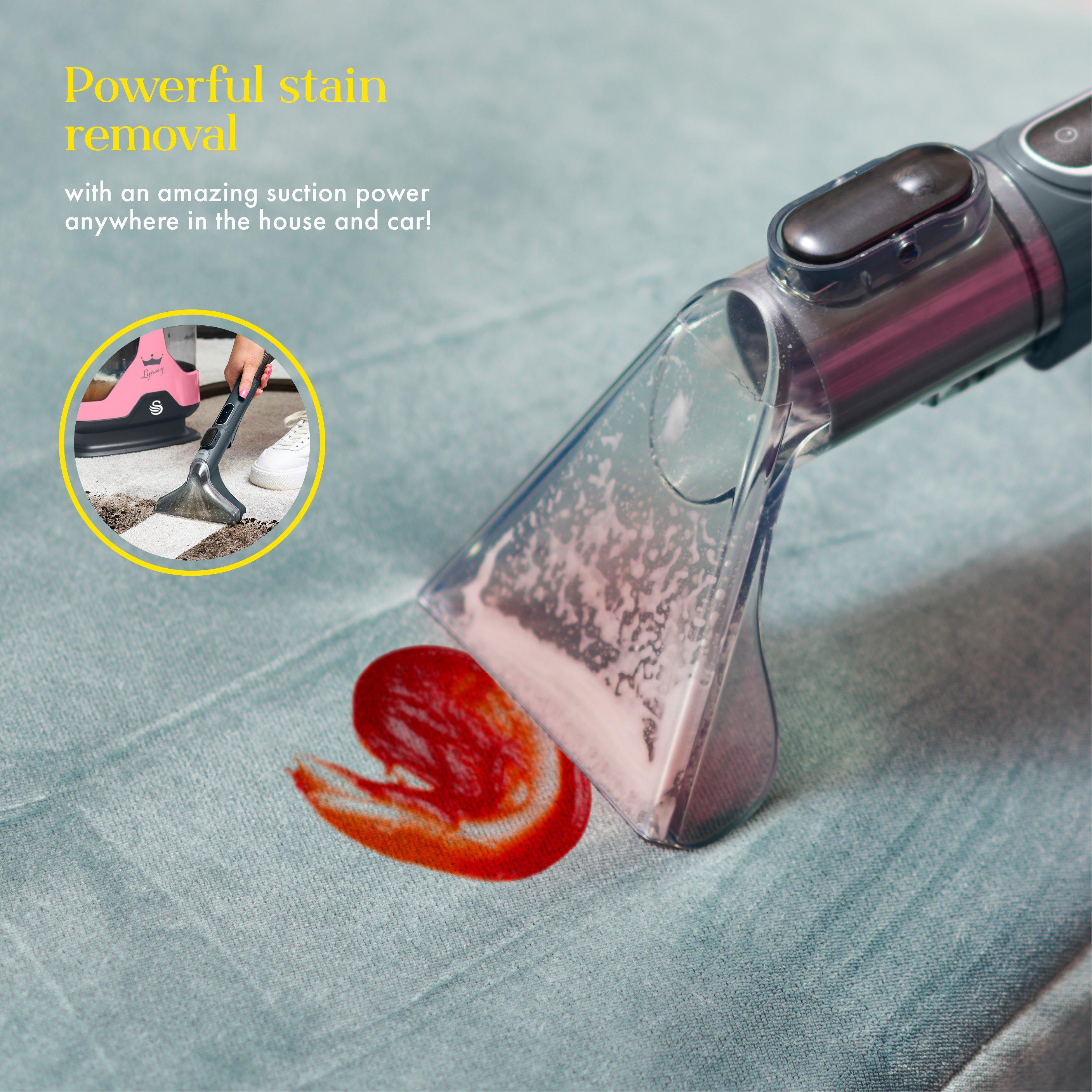 Pink - Swan - Lynsey Queen of Clean Spot Cleaner - 4