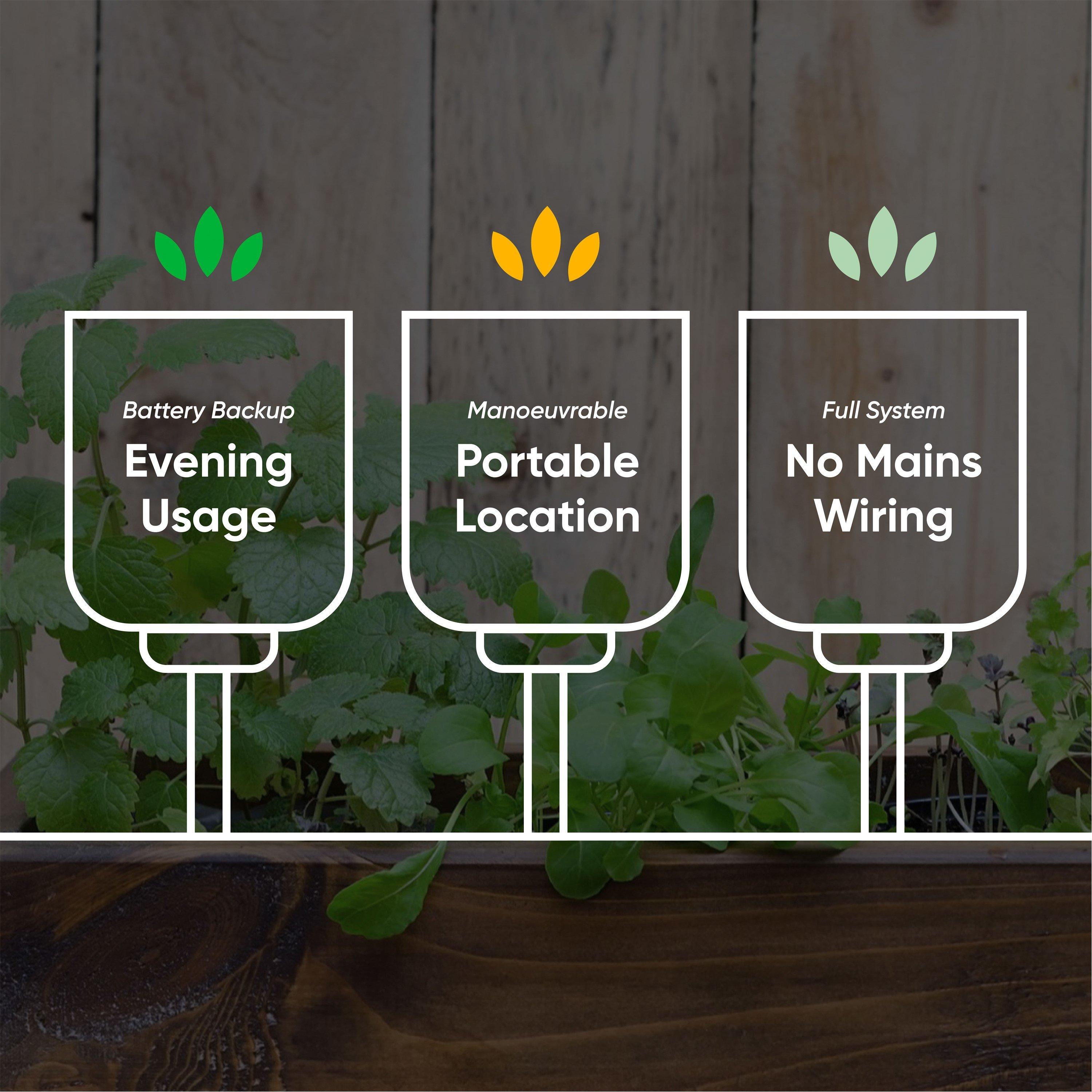 Green - Streetwize - Solar Neon-Effect Cactus Stake Light - 4