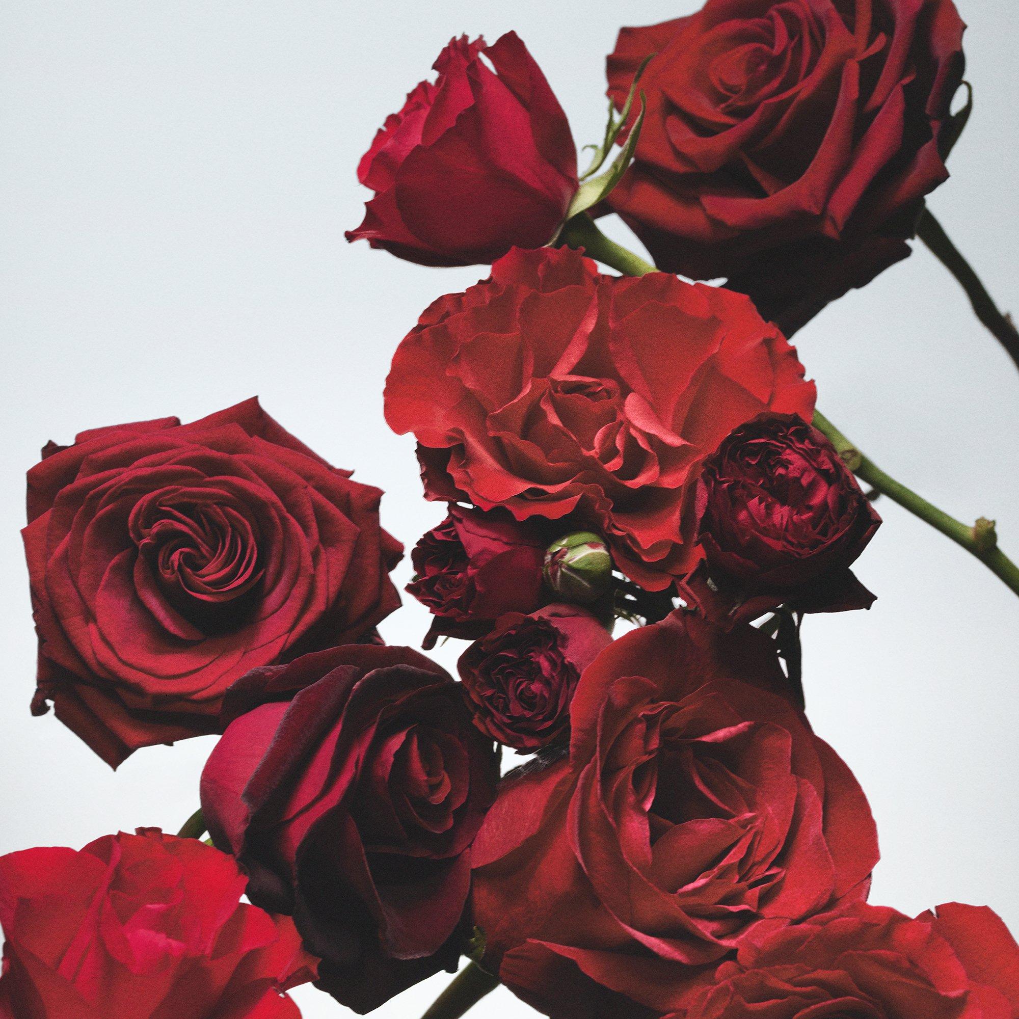 Candle - Jo Malone London - Red Roses Classic Candle 200g - 3