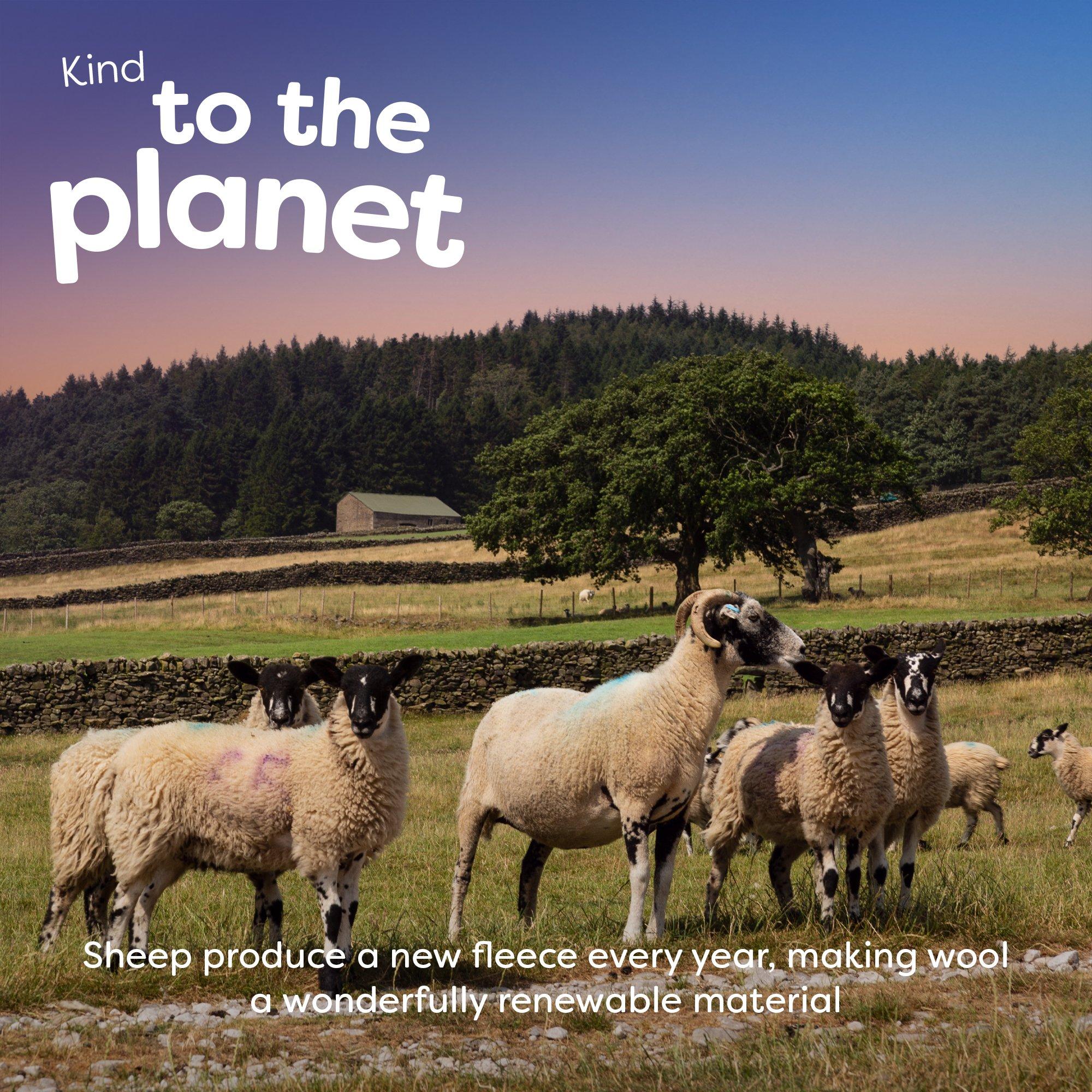 White - Slumberdown - Wonderful Wool Mediumweight Duvet + 2 Pillows - 6