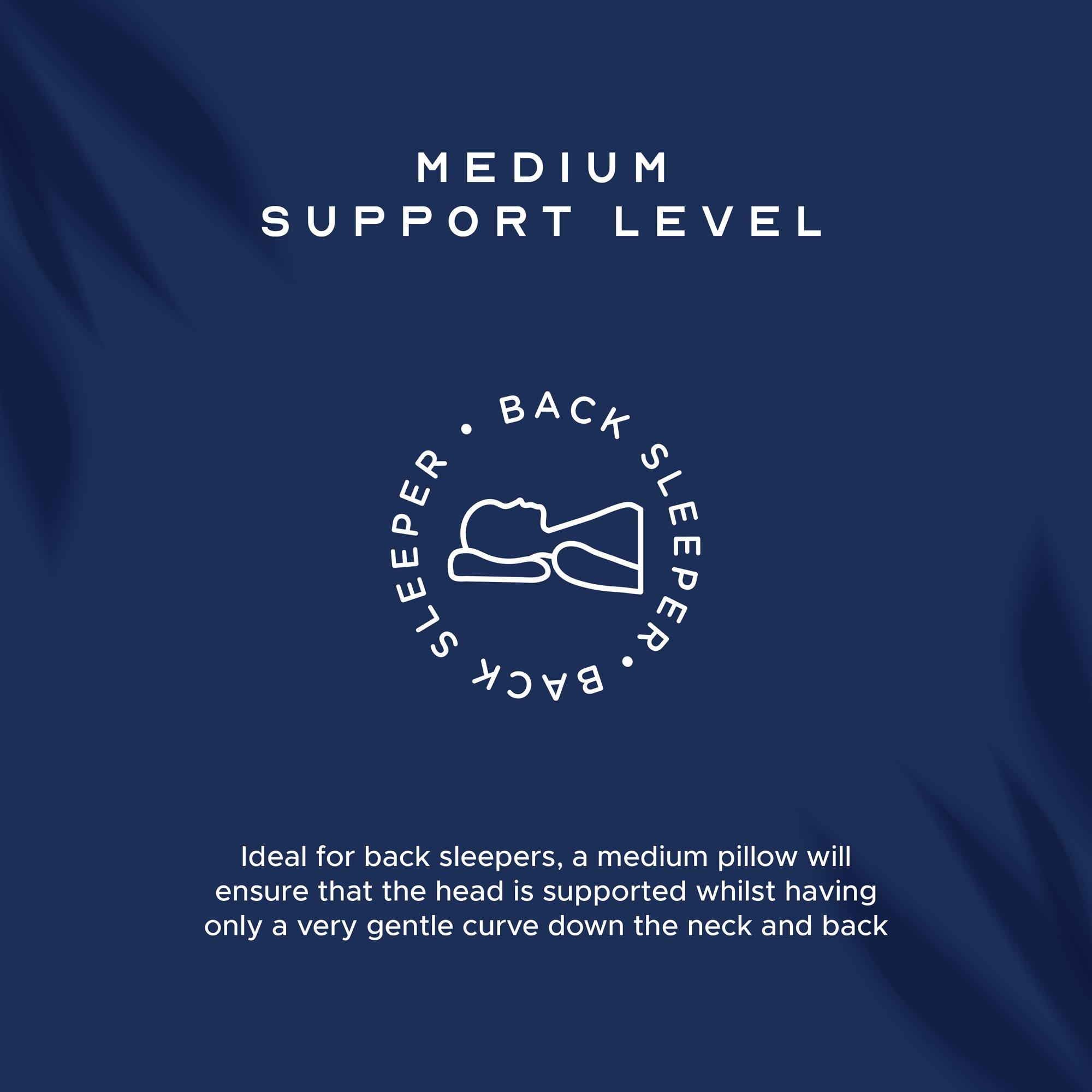 White - Snuggledown - Hungarian Goose Down 4.5 Tog Duvet + 2 Pillows - 13