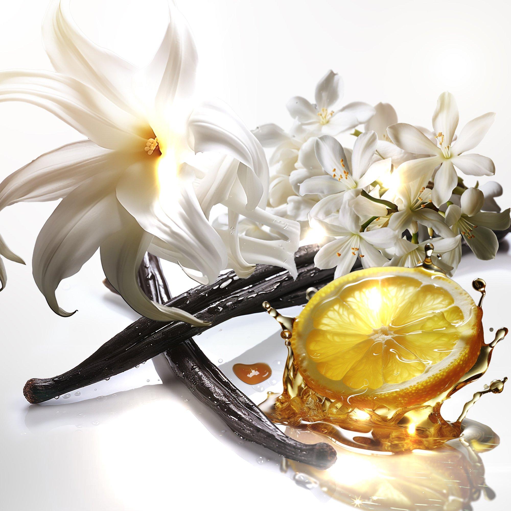 Clear - Mugler - X24ALG6010BL Parfum Set - 3