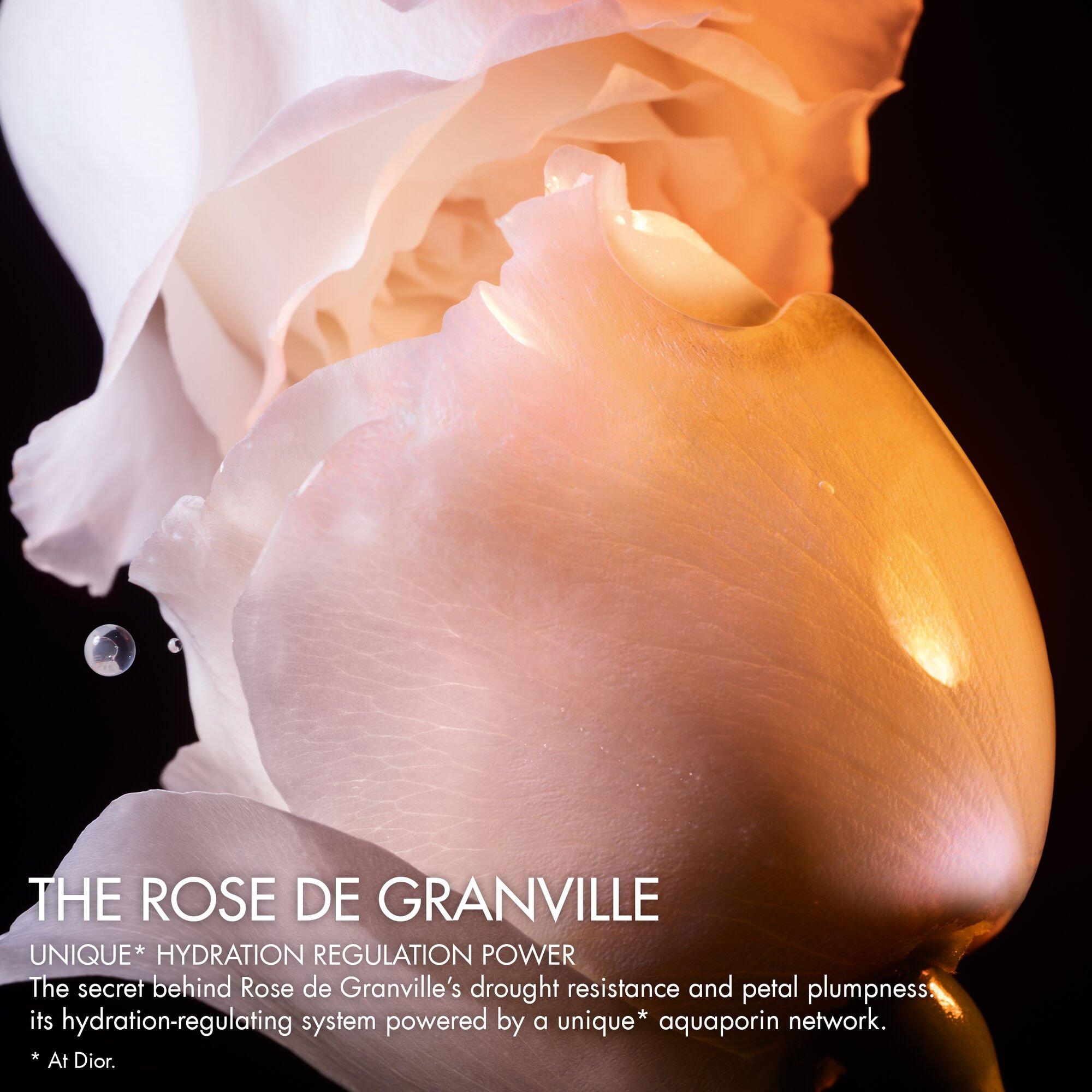 Pink - DIOR - Prestige La Lotion Essence de Rose - 2