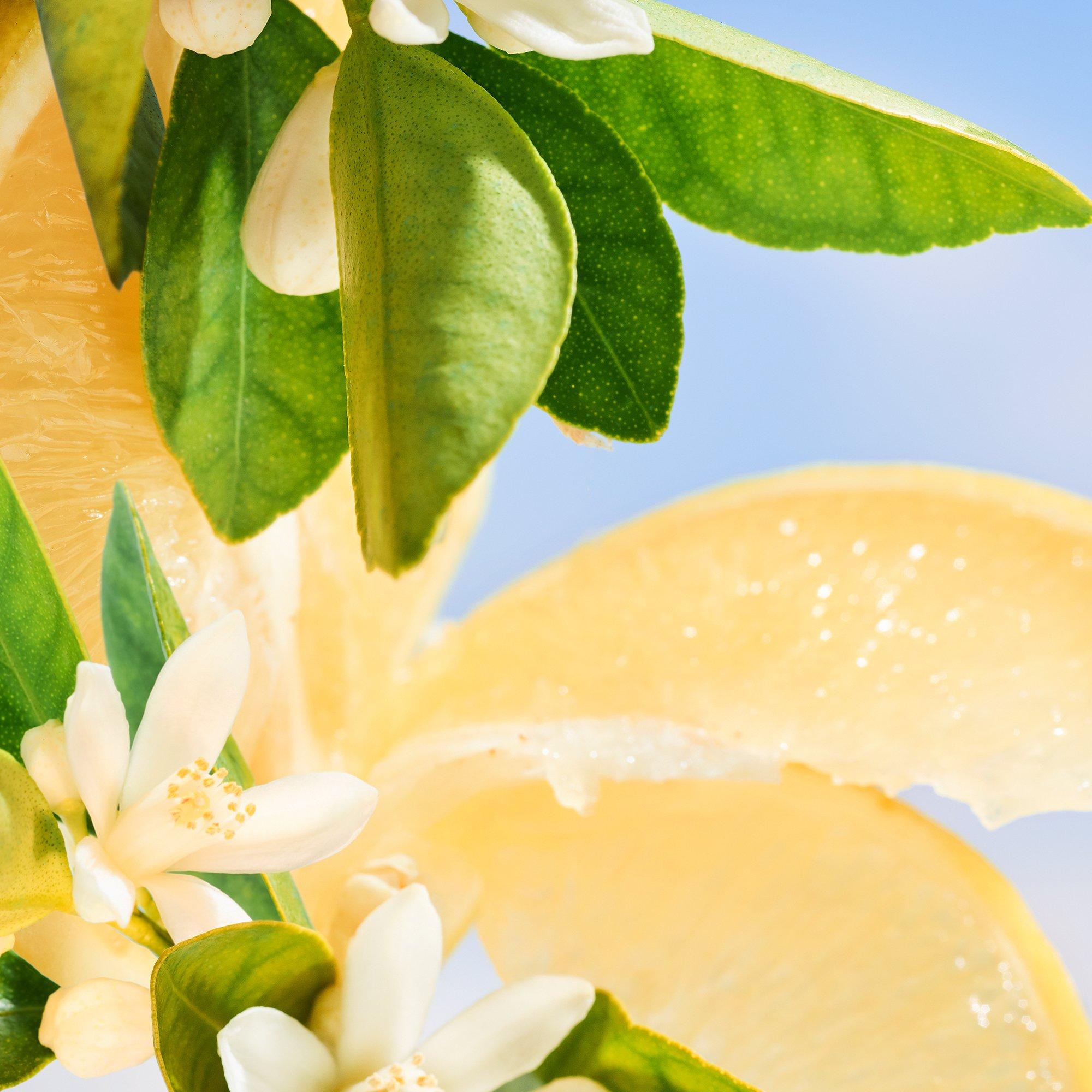 Clear - Bvlgari - Allegra Riva Solare Eau de Parfum - 2