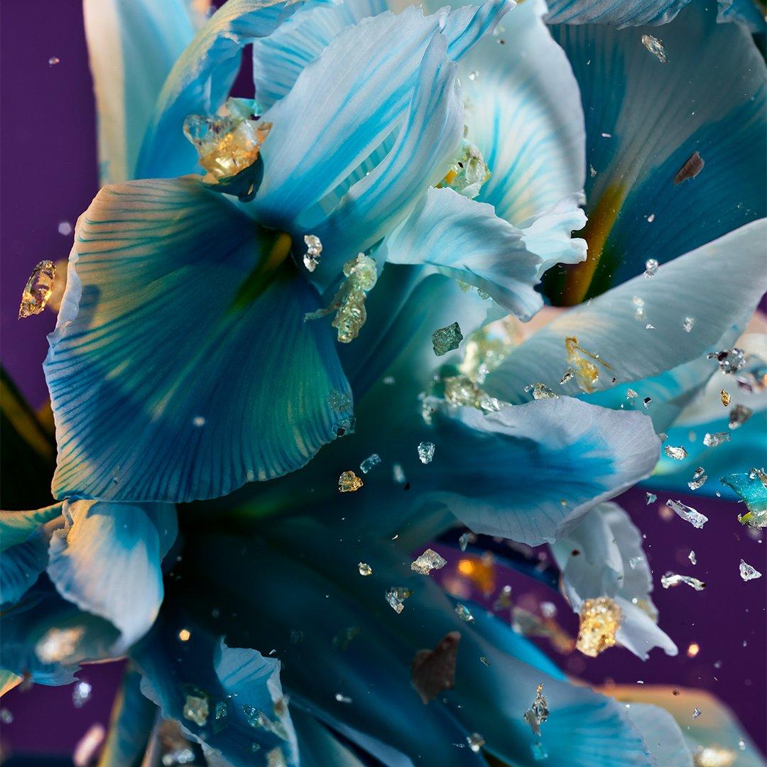 Clear - Bvlgari - Allegra Spettacolore Eau de Parfum - 2