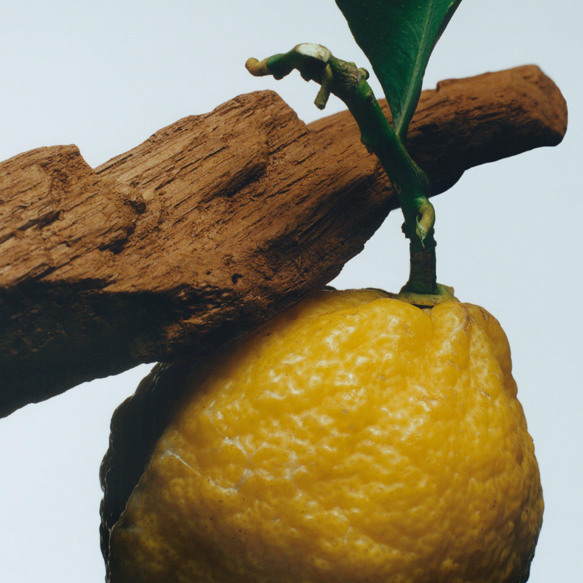 - - Jo Malone London - Oud & Bergamot Classic Candle 200g - 3