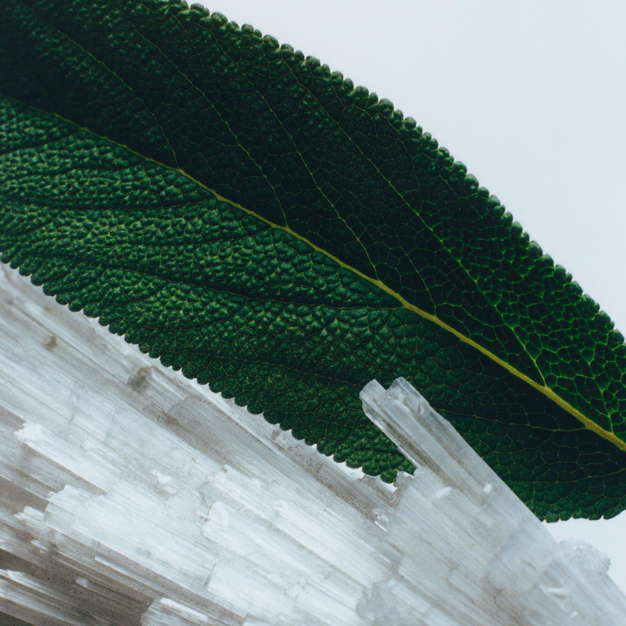 Wood Sage & Sea - Jo Malone London - Wood Sage & Sea Salt Body & Hand Lotion 250ml - 3