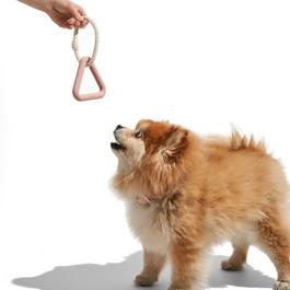 Wild One Adults Small Wool Triangle Tug Dog Toy