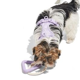 Wild One Adults Small Wool Triangle Tug Dog Toy