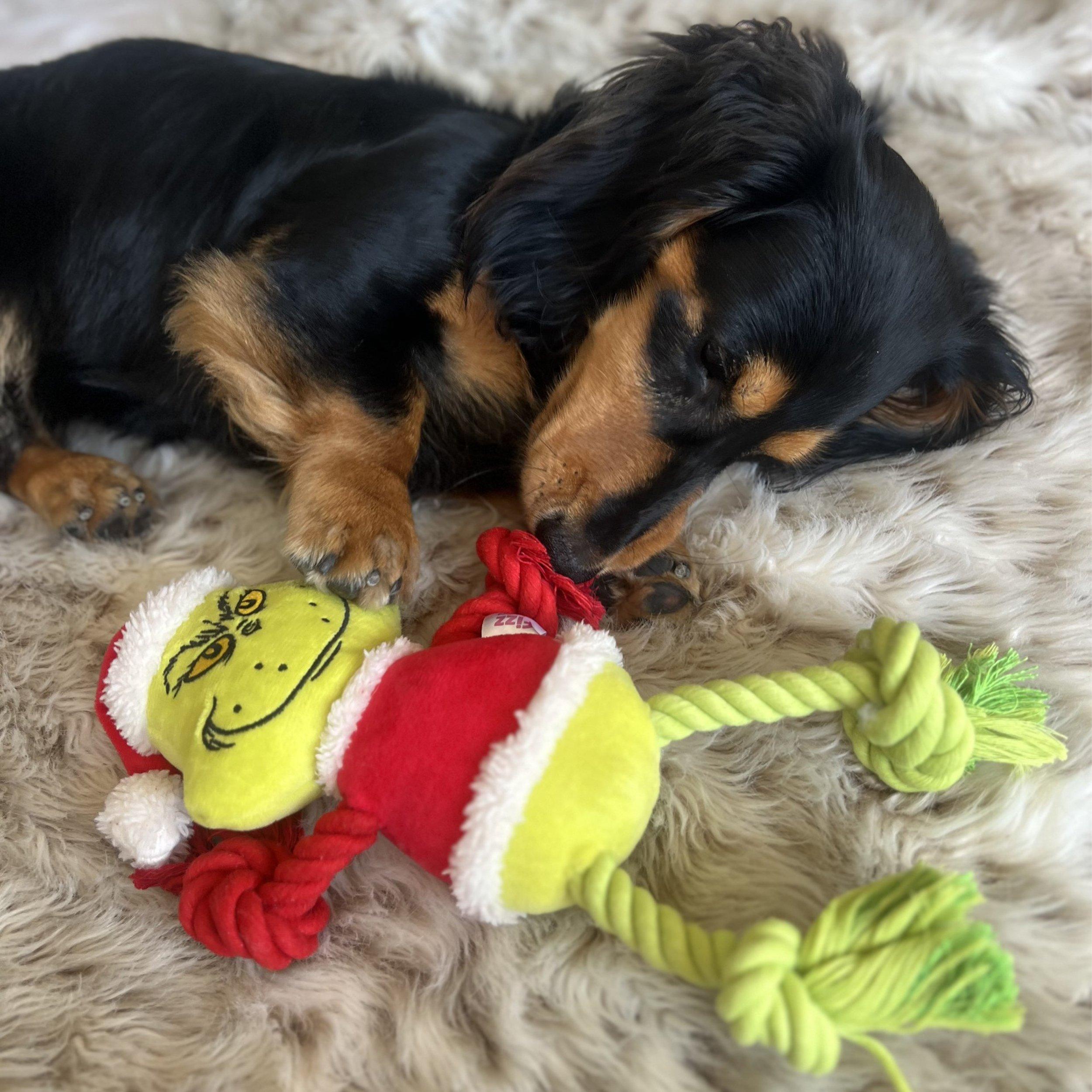 Green - The Grinch - Grinch Plush Dog Toy - 2