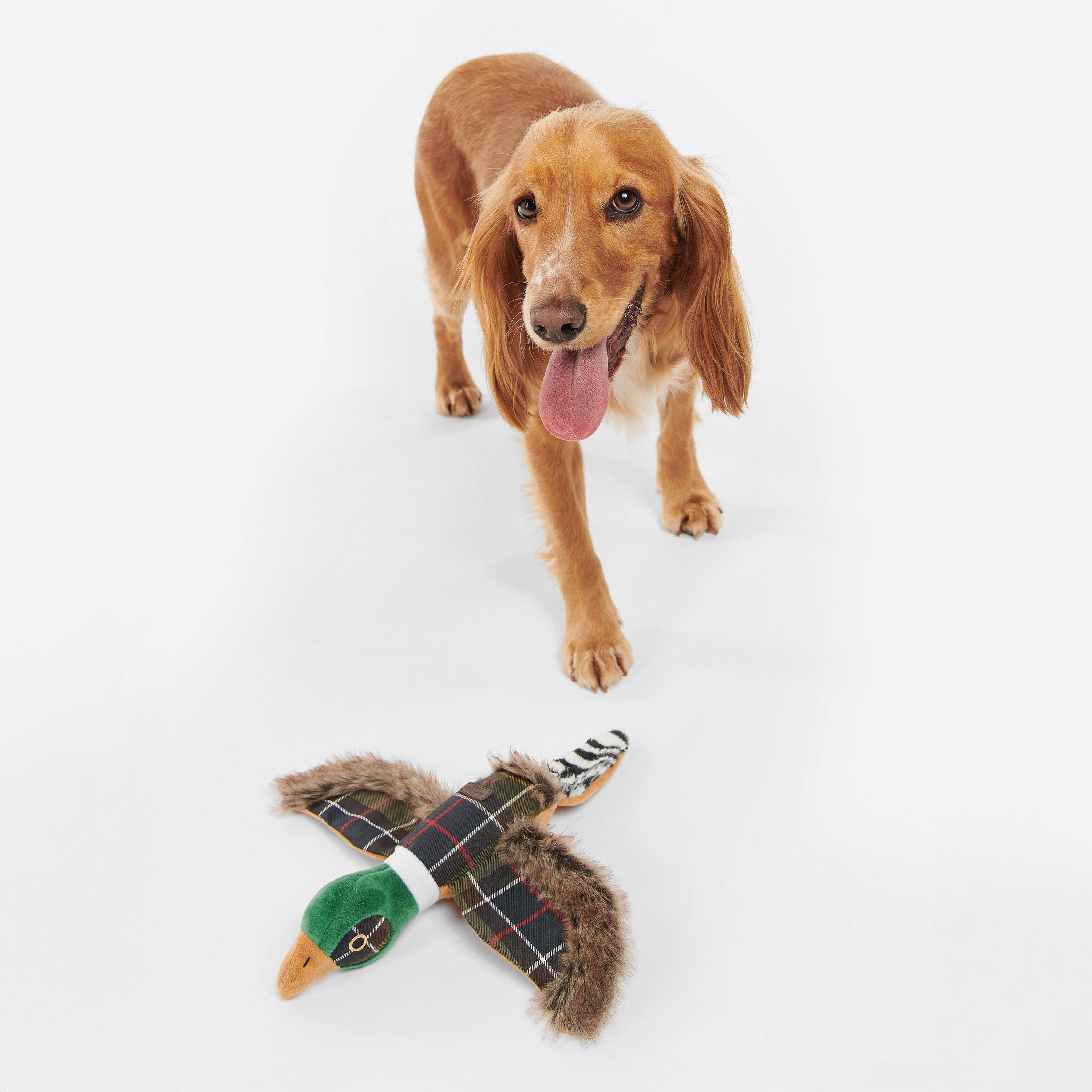 Classic Tartan - Barbour - Pheasant Dog Toy - 6