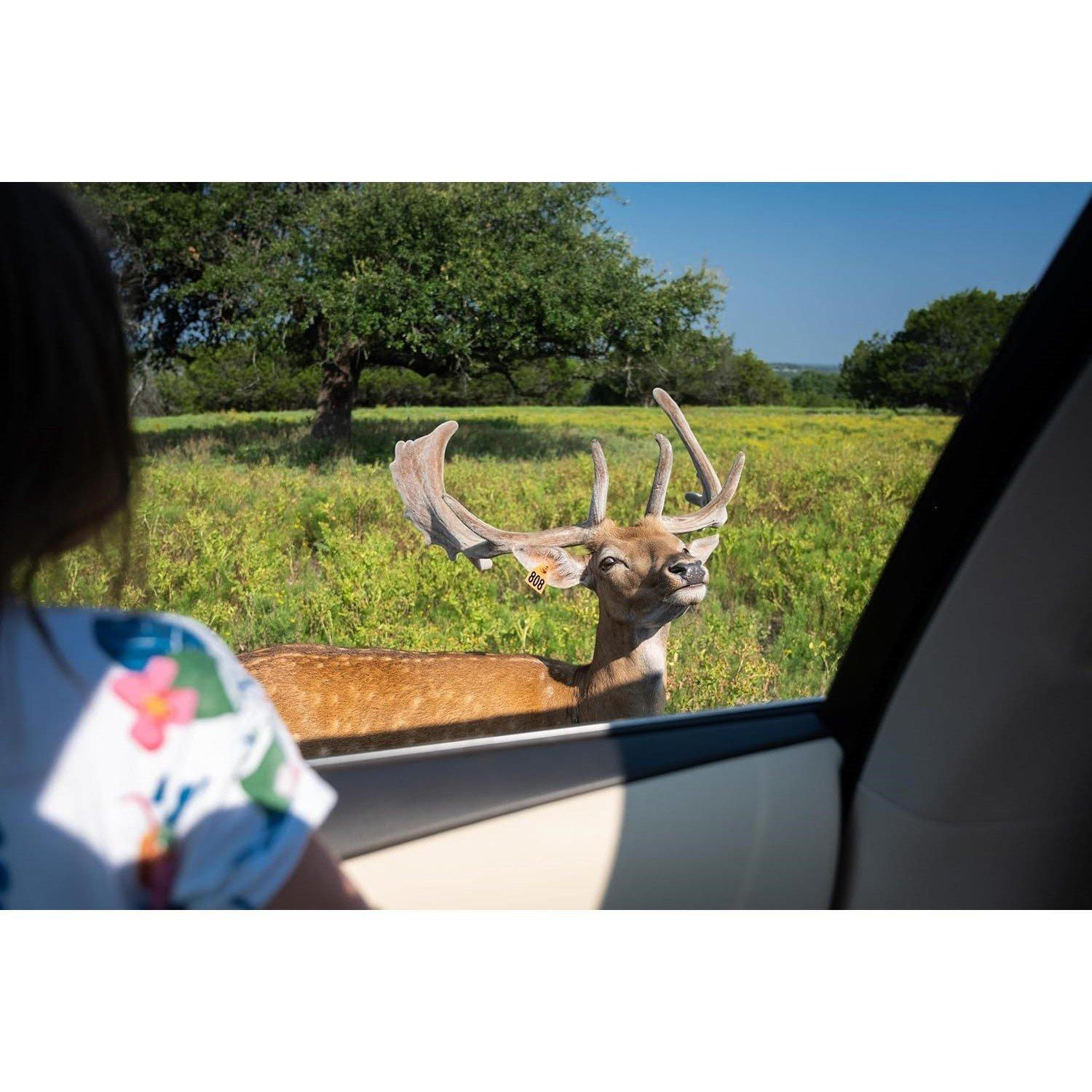 Blanco - Polaroid - EB Hi Print 4x6 Printer (White) - 7