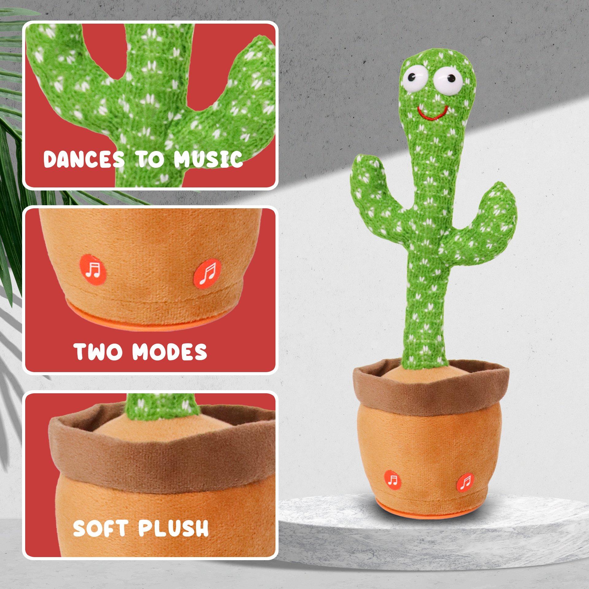 Multi - Dancing Cactus - Dancing Cactus - 2