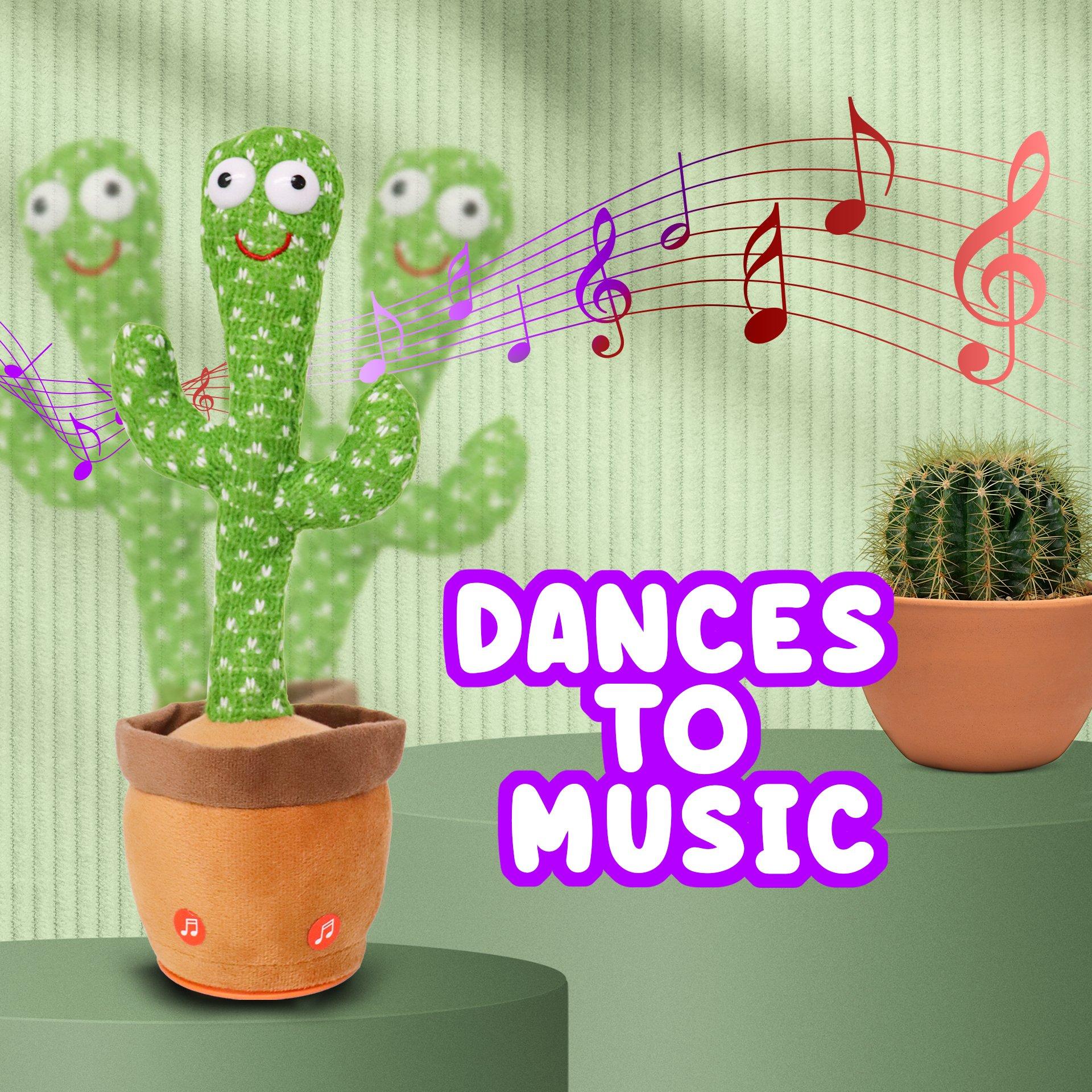 Multi - Dancing Cactus - Dancing Cactus - 3