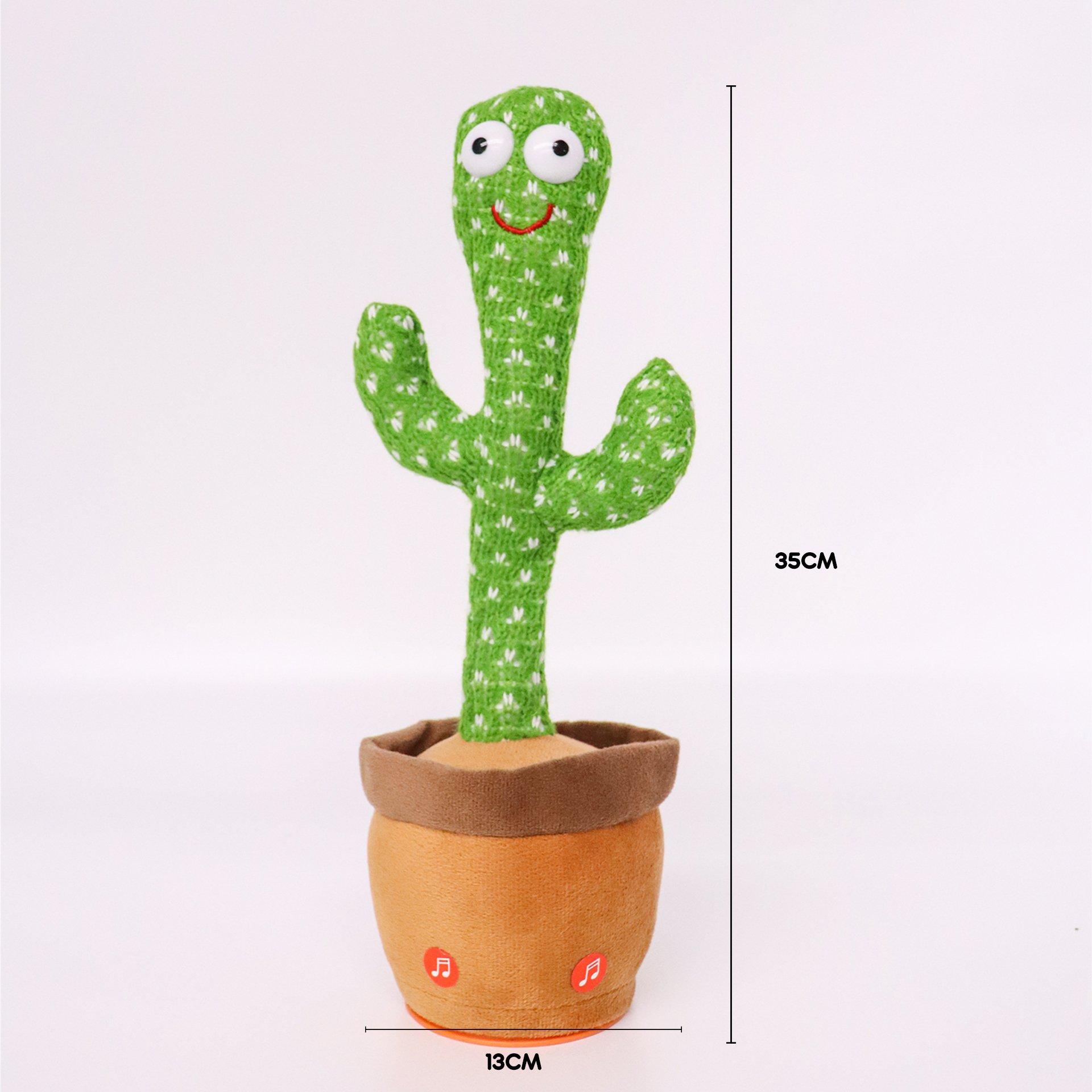 Multi - Dancing Cactus - Dancing Cactus - 6