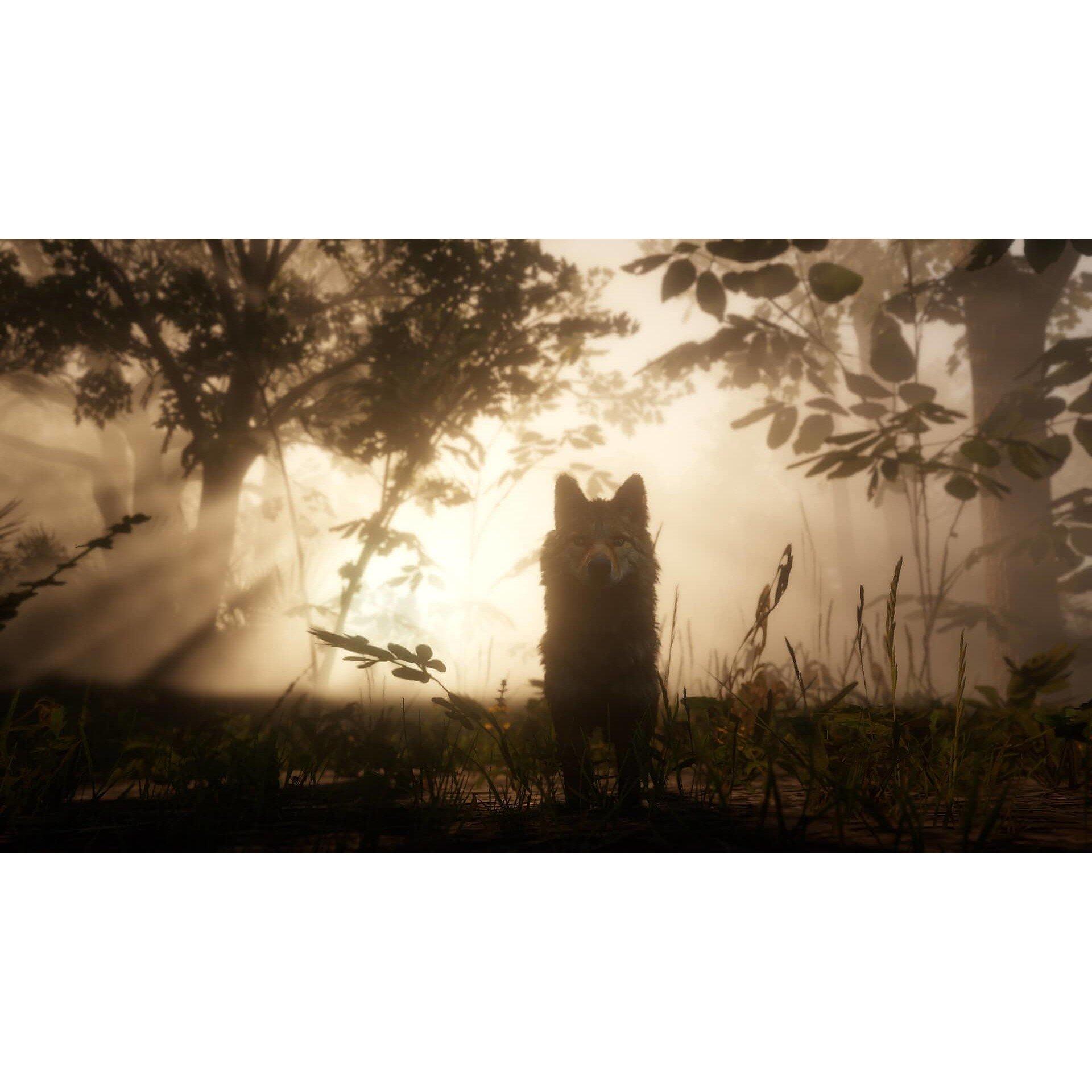 PS4 - Rockstar Games - Red Dead Redemption 2 - 6