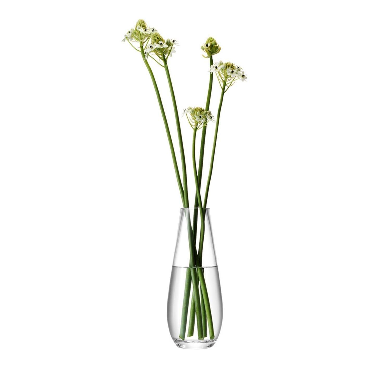 Clear - LSA - Flower Tall Stem Vase - 3