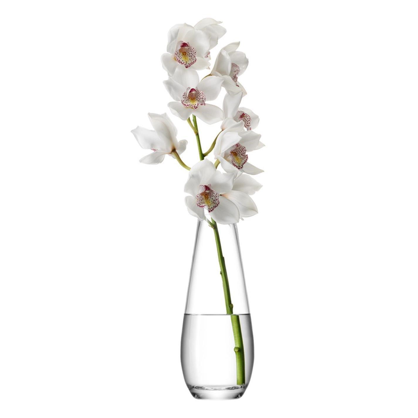 Clear - LSA - Flower Tall Stem Vase - 4