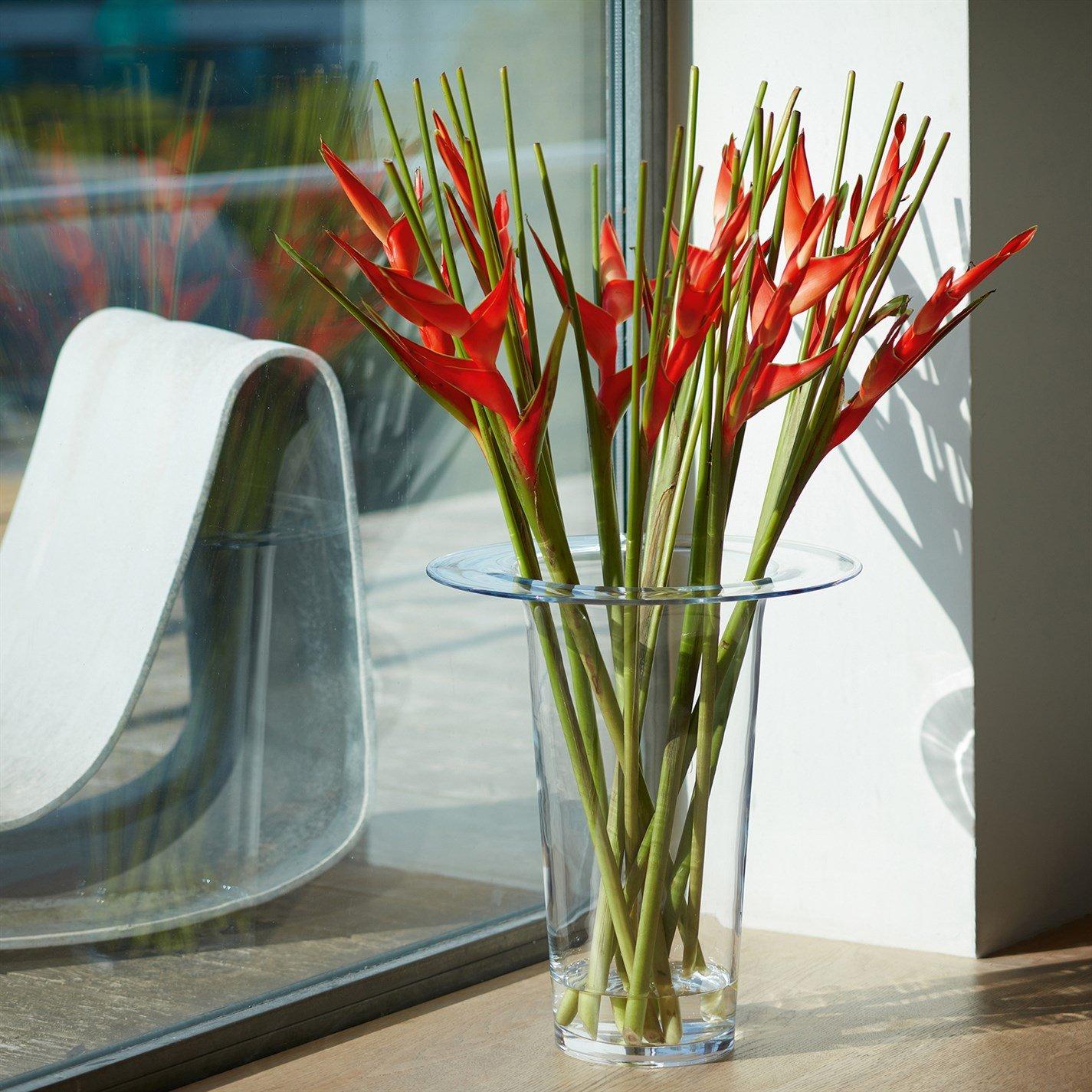 Clear - LSA - Vase - 4