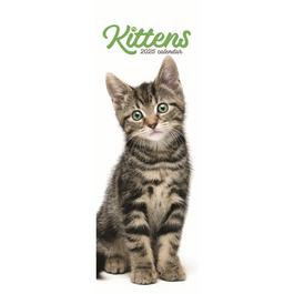 Studio Kittens Calendar