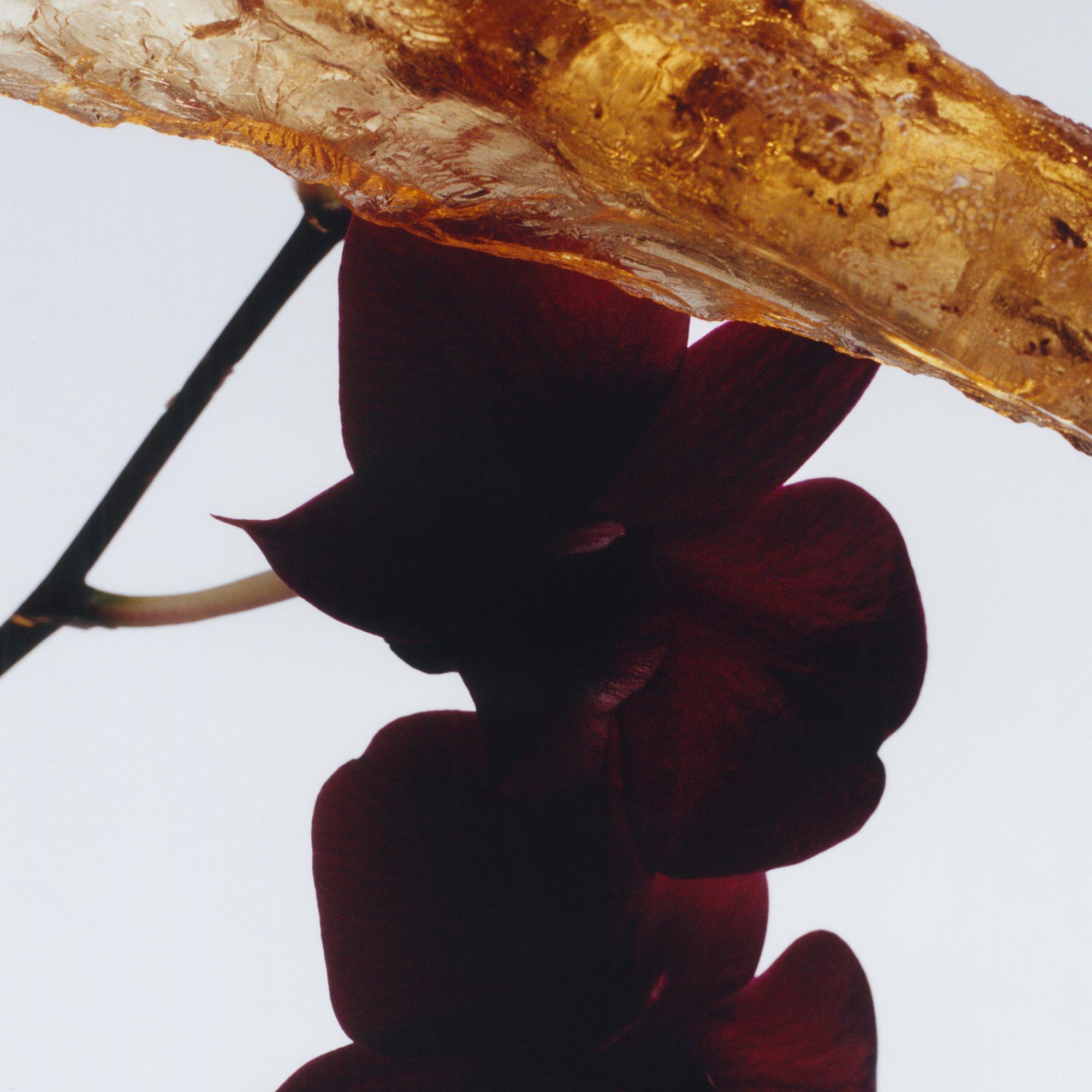 - - Jo Malone London - Dark Amber & Ginger Lily Body Creme 200ml - 3