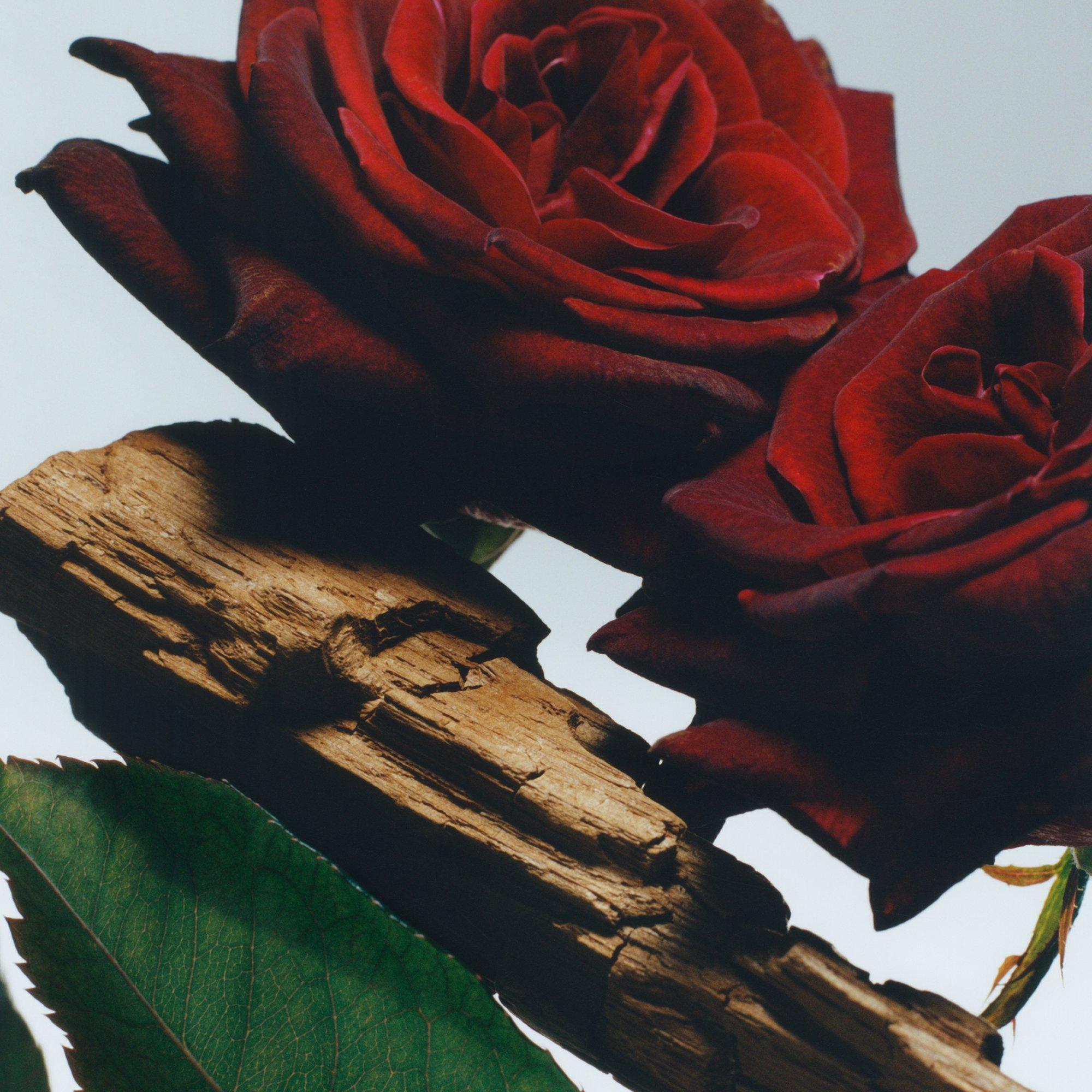 - - Jo Malone London - Velvet Rose & Oud Body Creme 200ml - 3