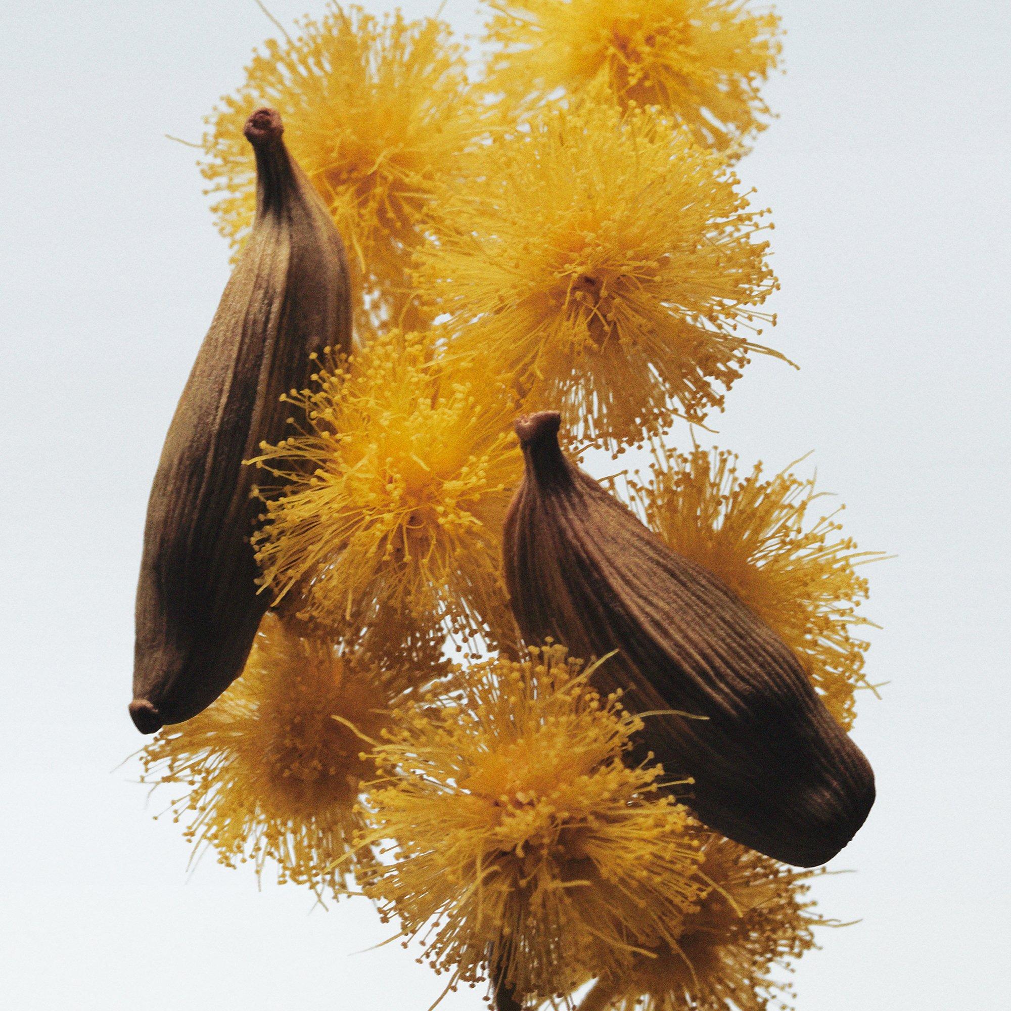 N/A - Jo Malone London - Mimosa & Cardamom Classic Candle 200g - 3