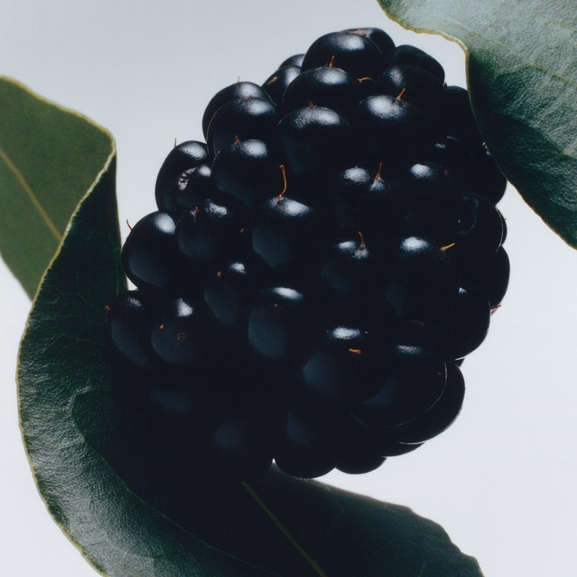 N/A - Jo Malone London - Blackberry & Bay Classic Candle 200g - 3