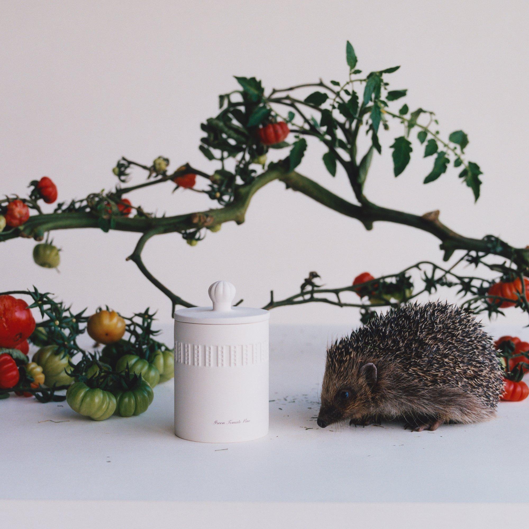 - - Jo Malone London - Green Tomato Vine Ceramic Candle 300g - 2