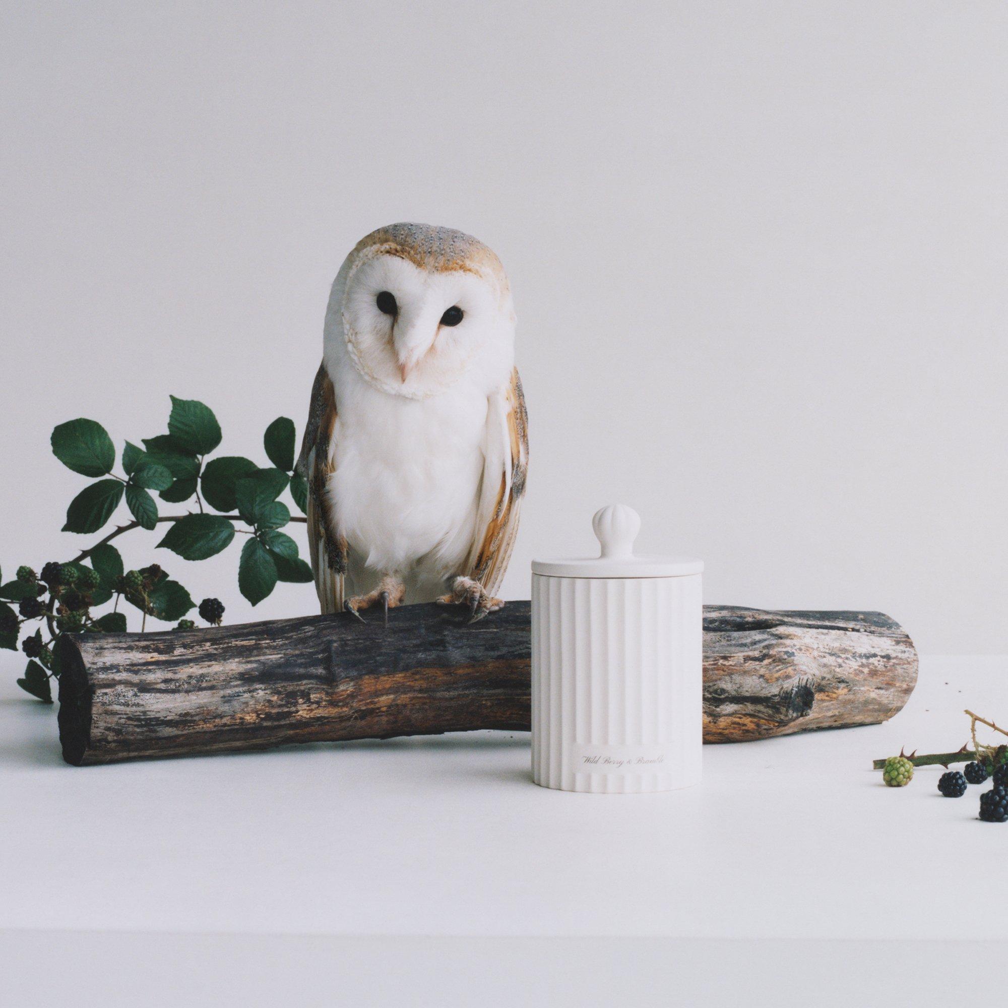 Candle - Jo Malone London - Wild Berry & Bramble Townhouse Candle 300g - 2