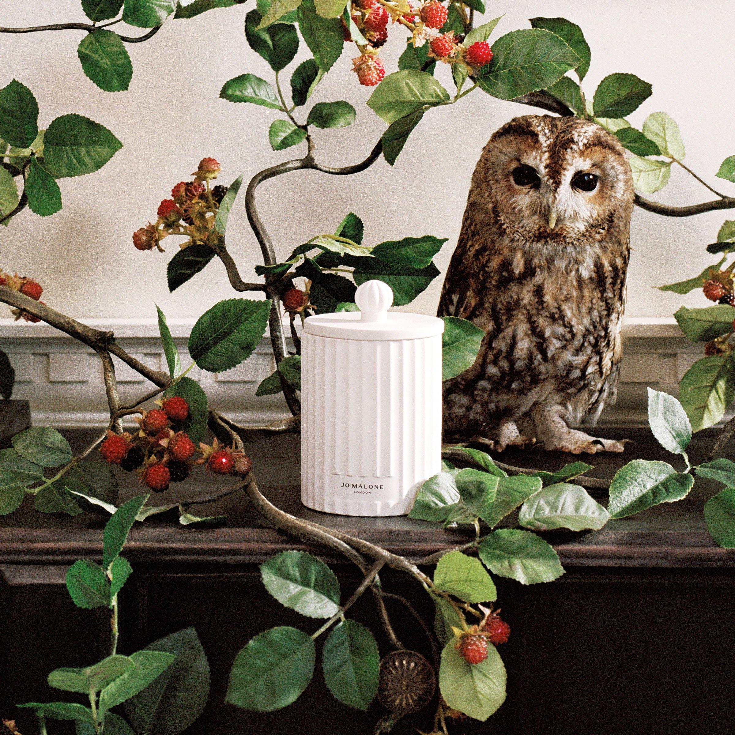 Jo Malone | Wild Berry & Bramble Townhouse Candle 300g | Candles