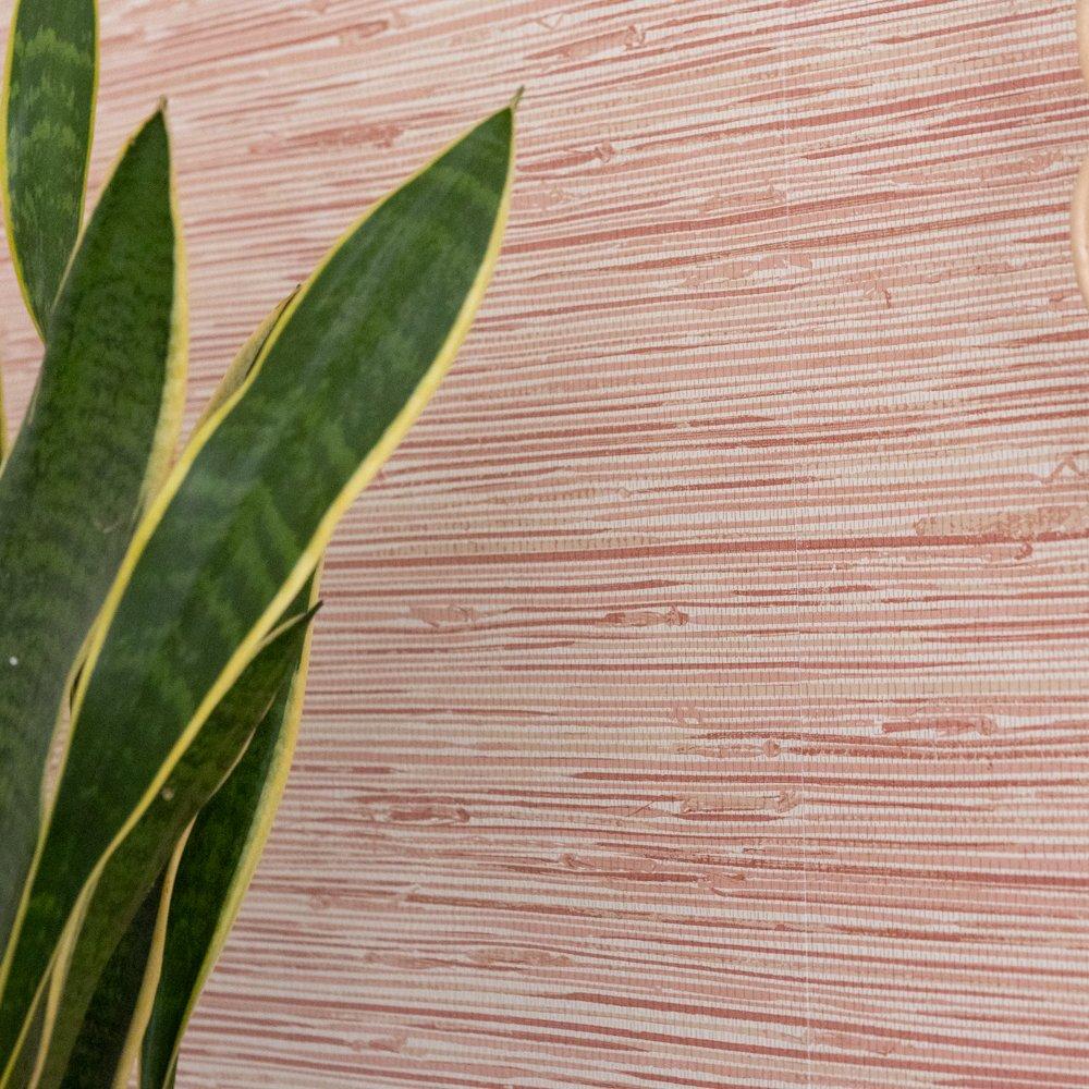 Spice - Wall Pops - Self Adhesive Wallpaper Tibetan Grasscloth Spice - 3