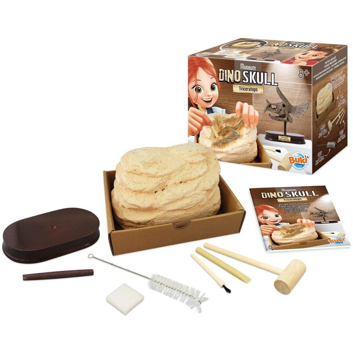 None - Buki France - Triceratops Museum Skull